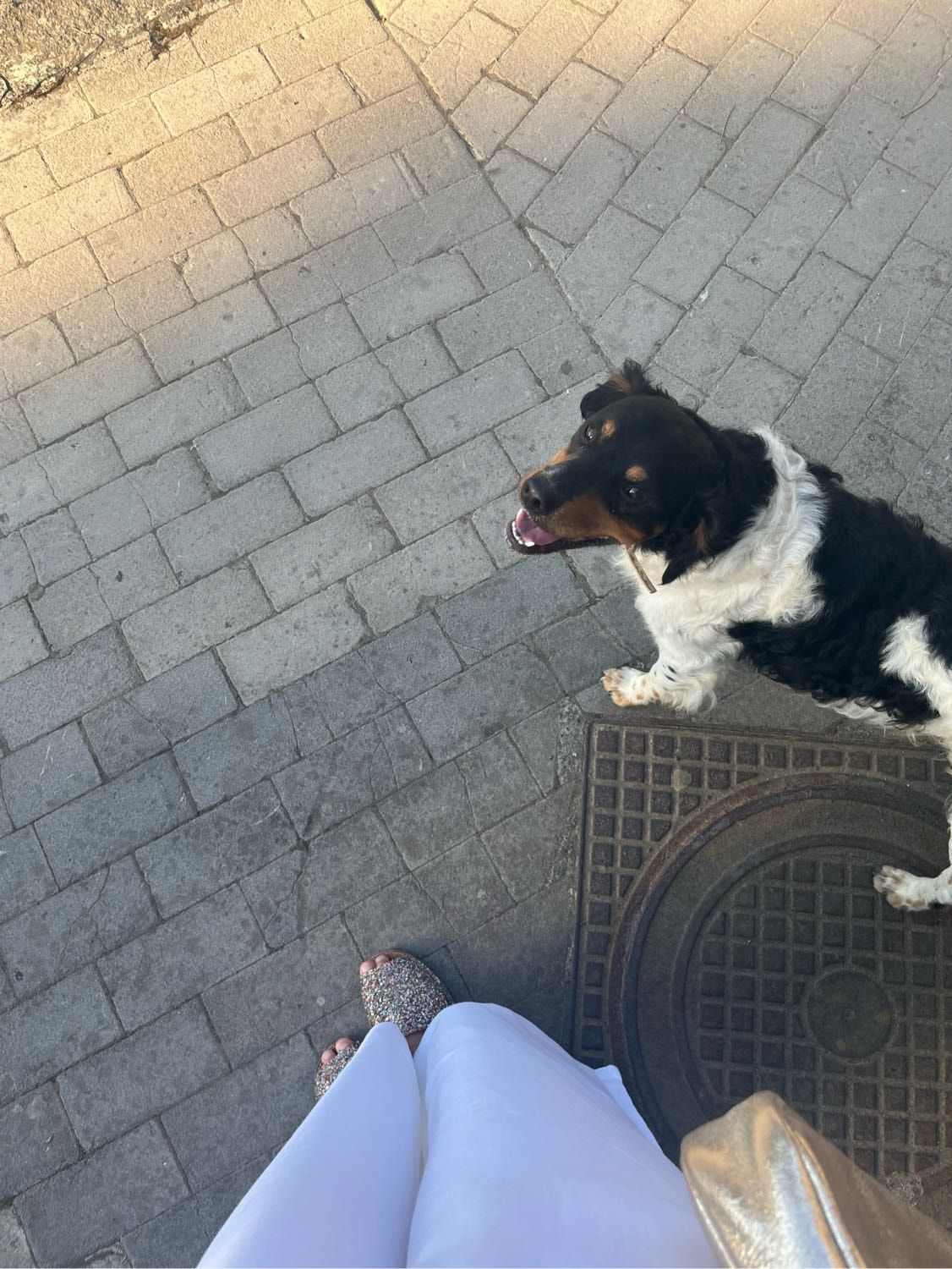 image-5
