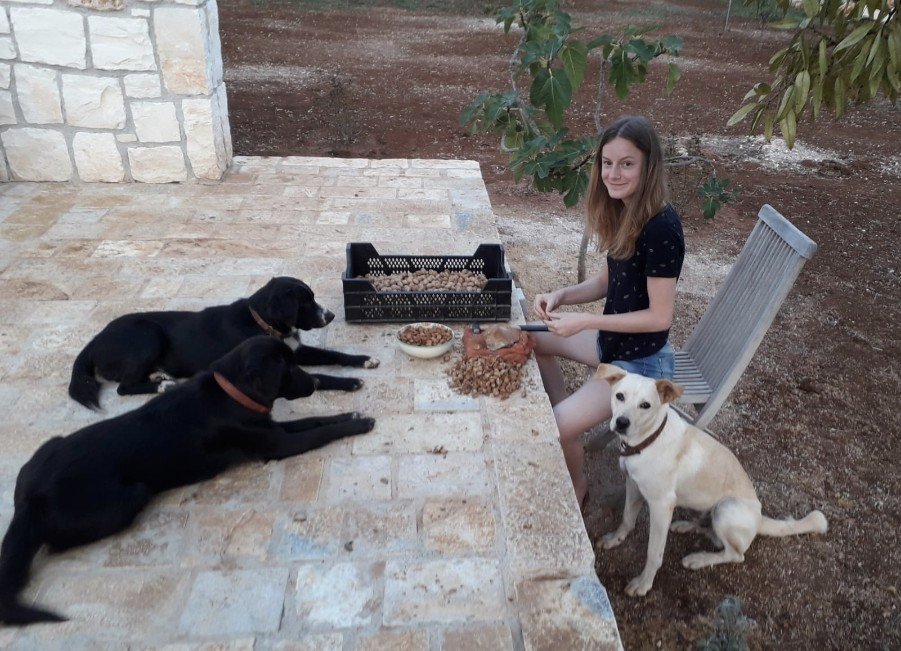image-10