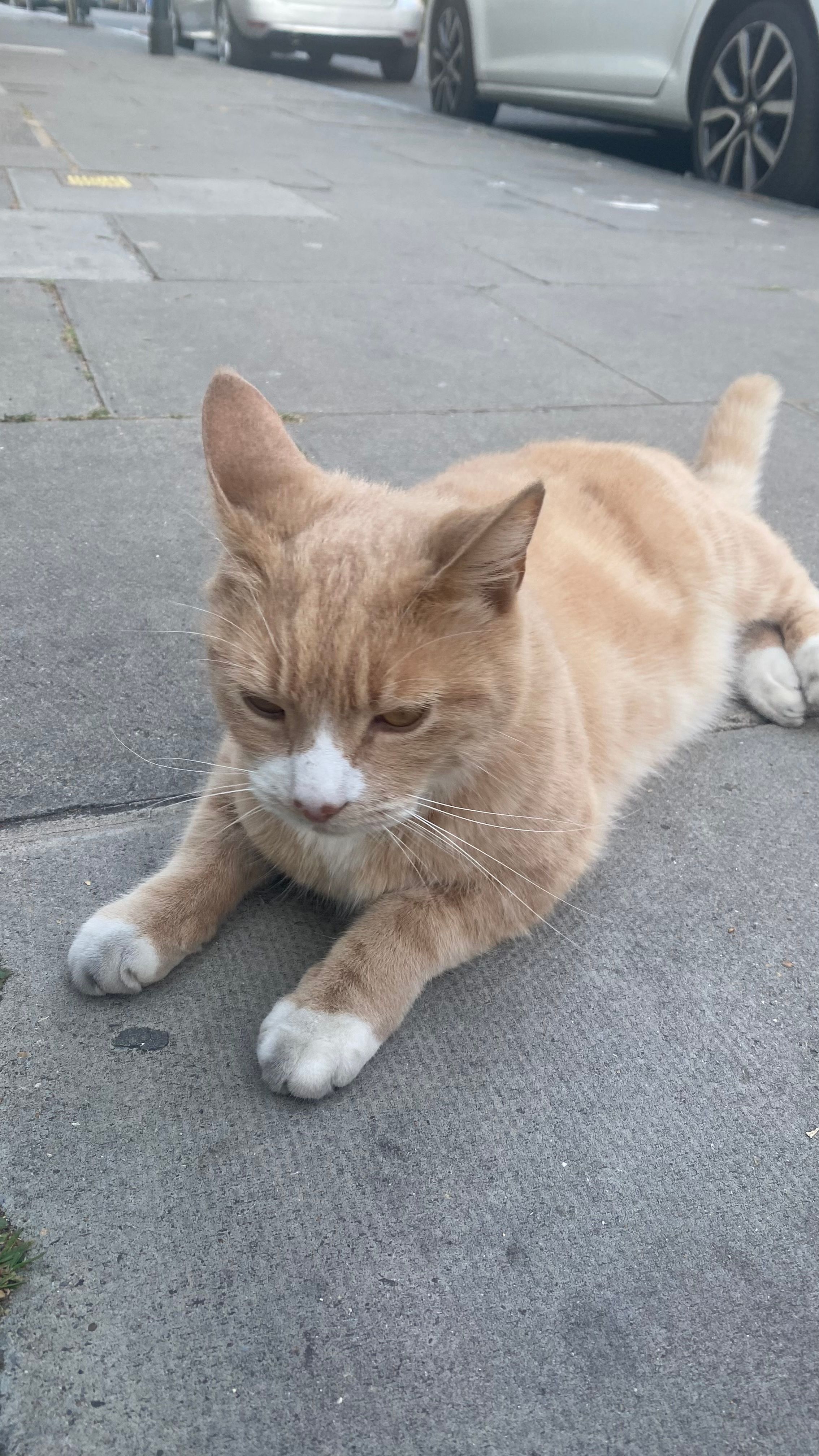 image-5