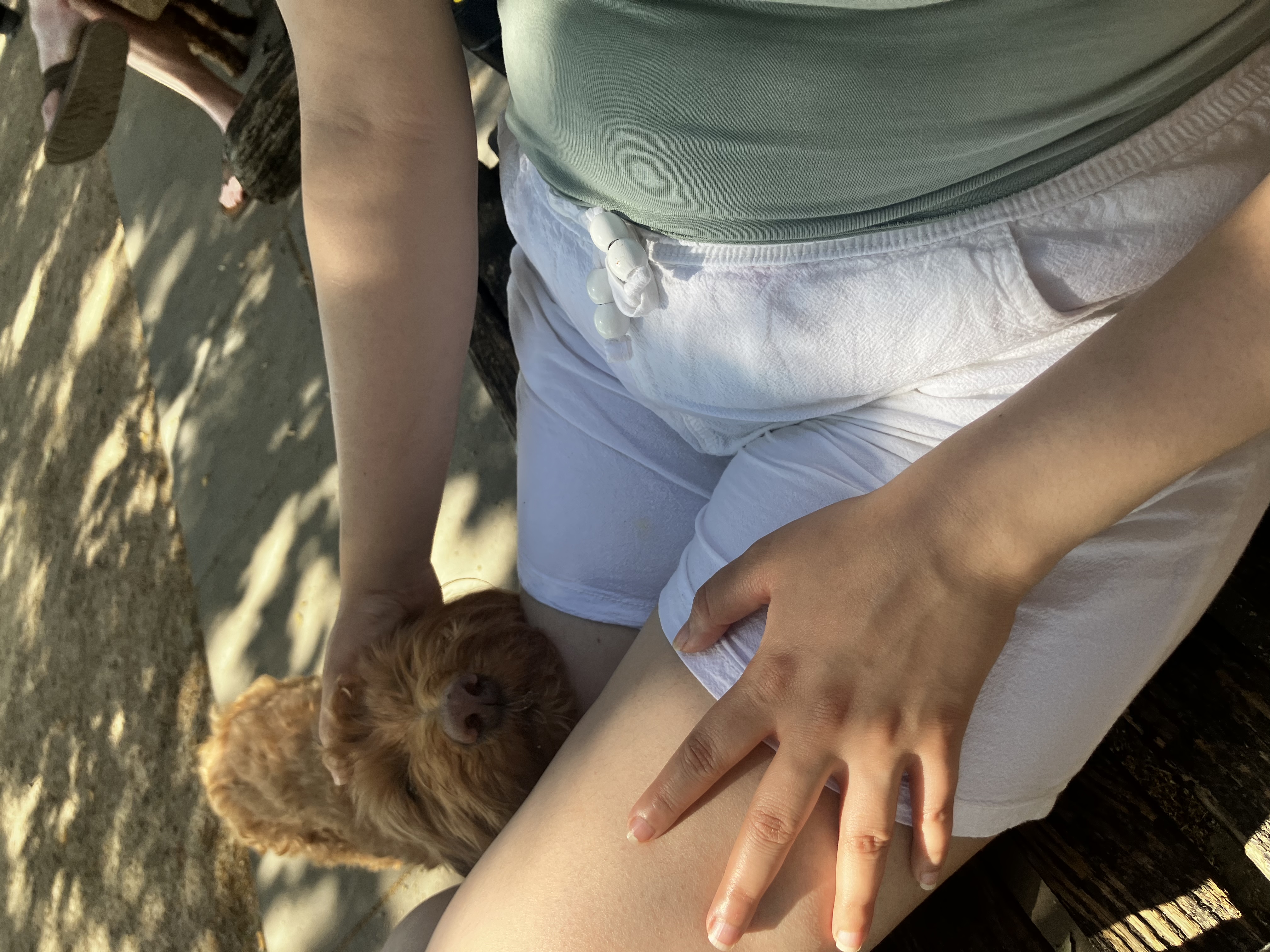 image-6