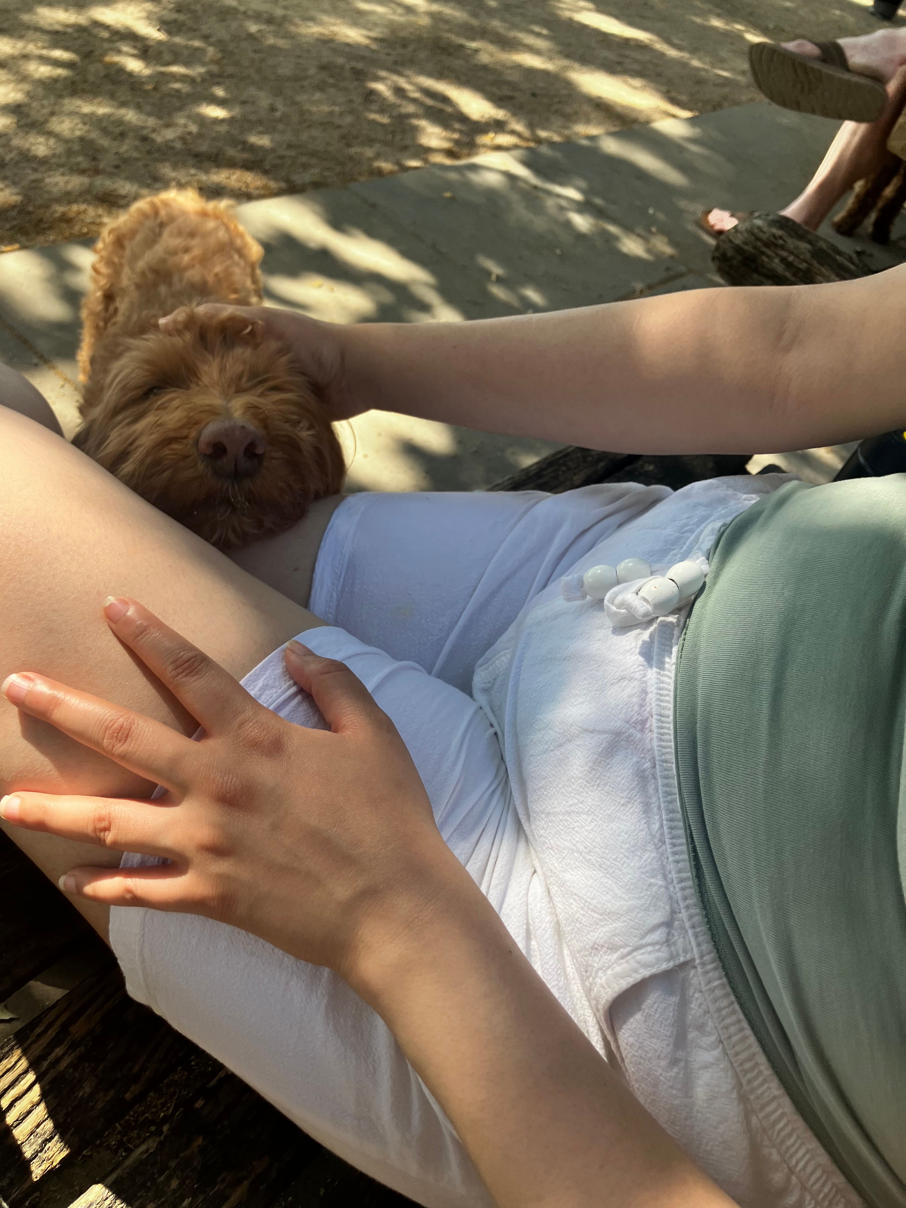 image-6