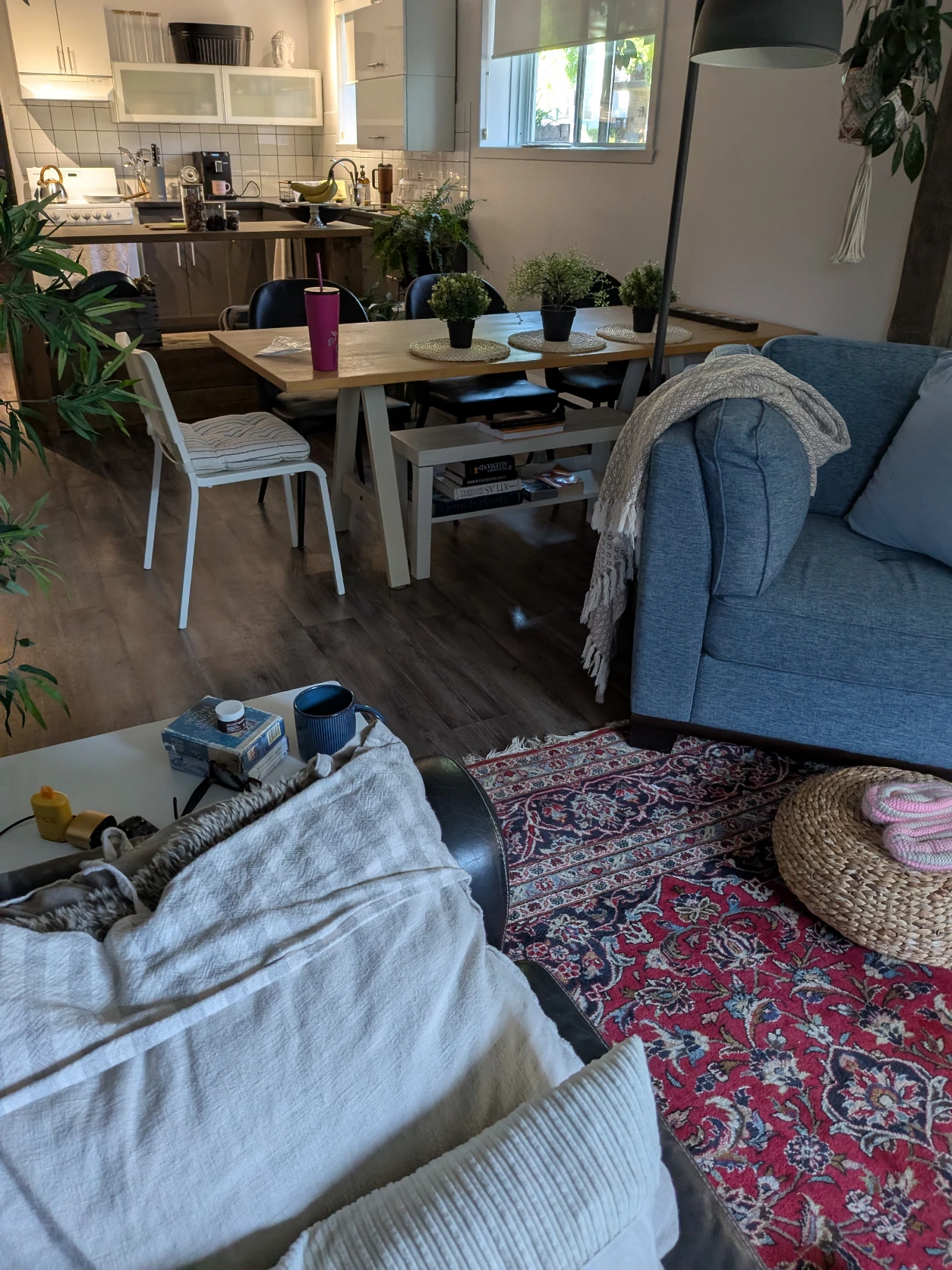 image-7