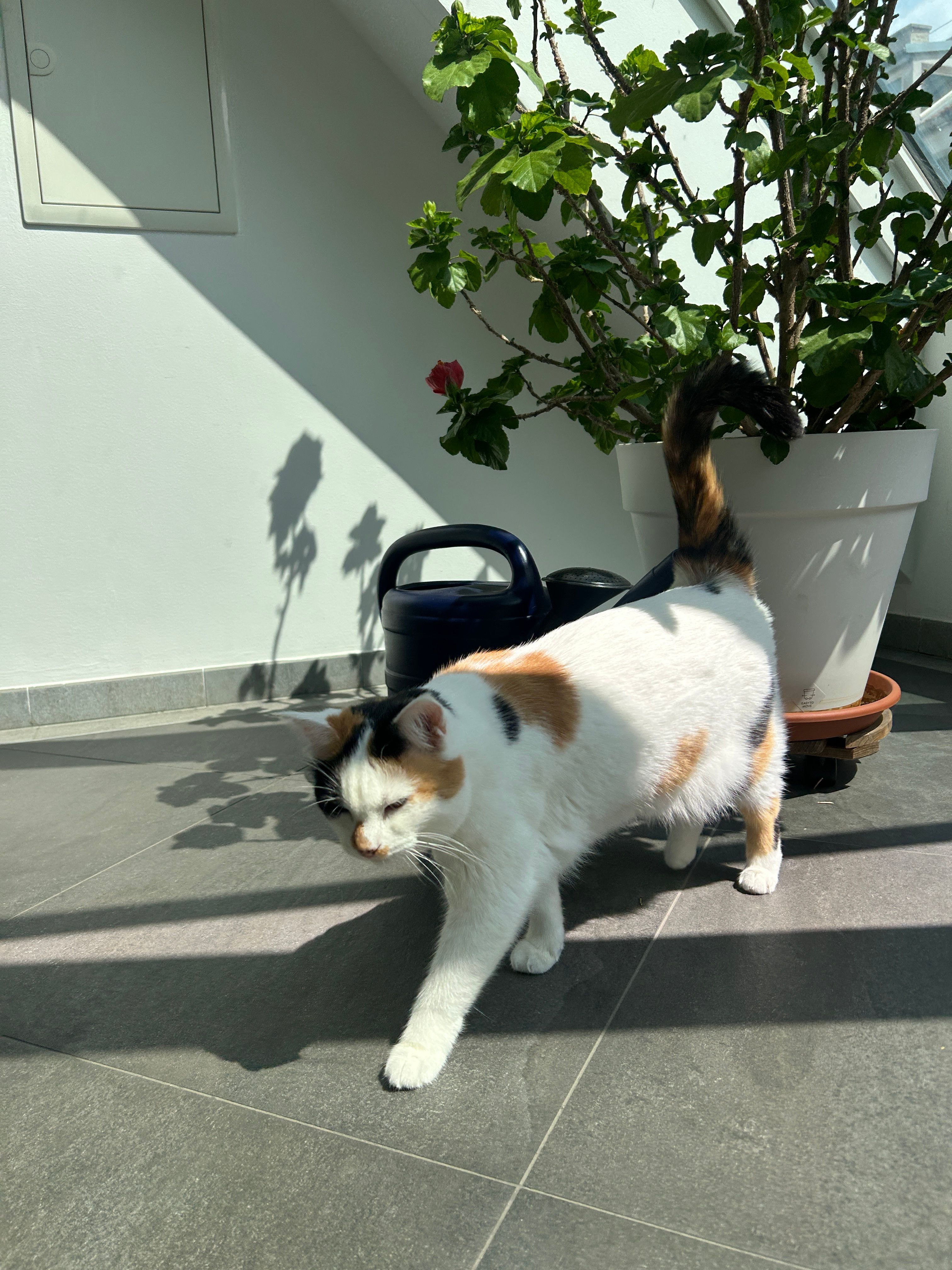 image-15