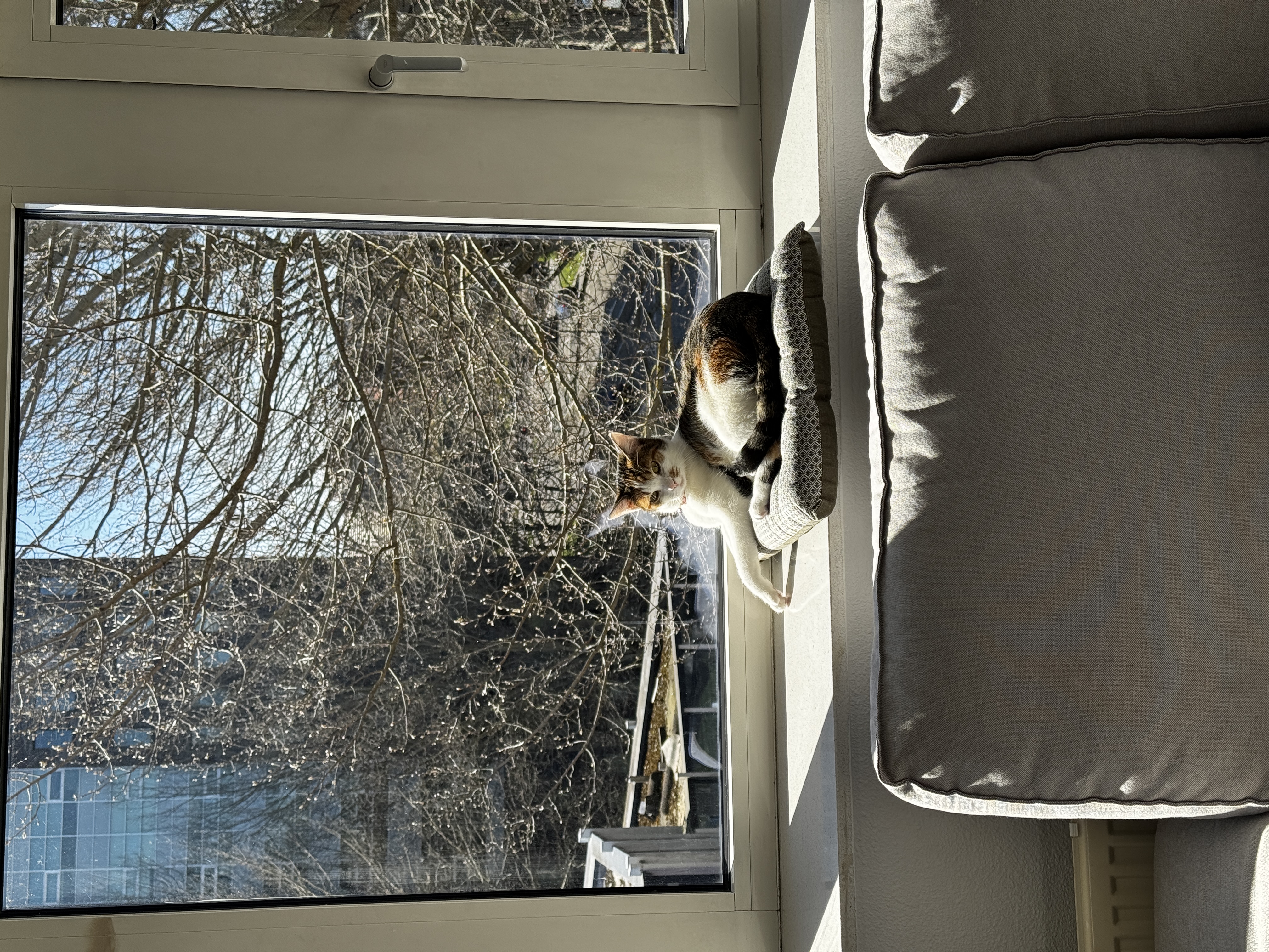 image-14