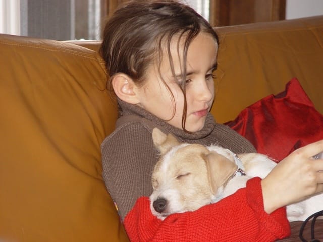 image-9
