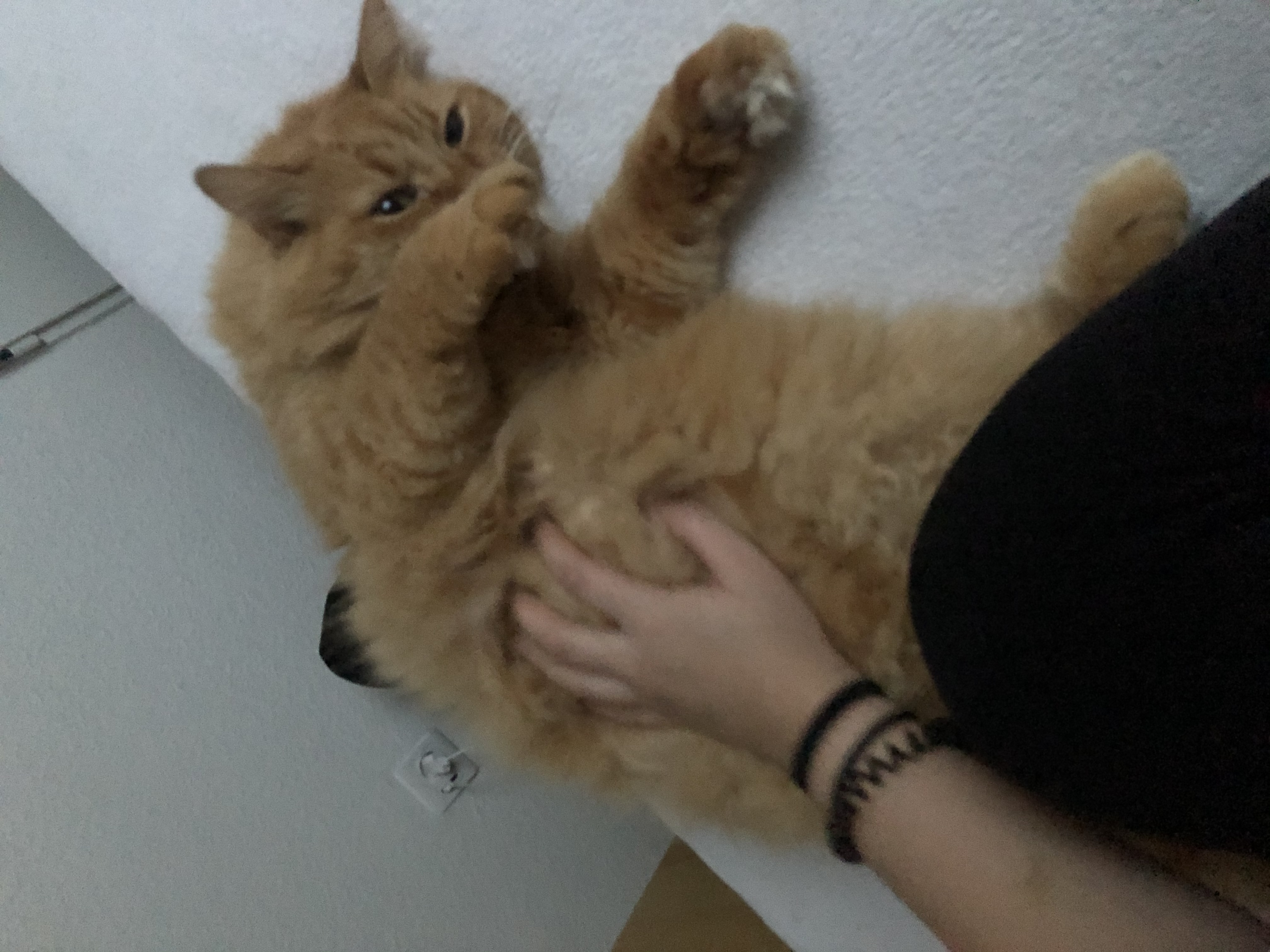 image-8