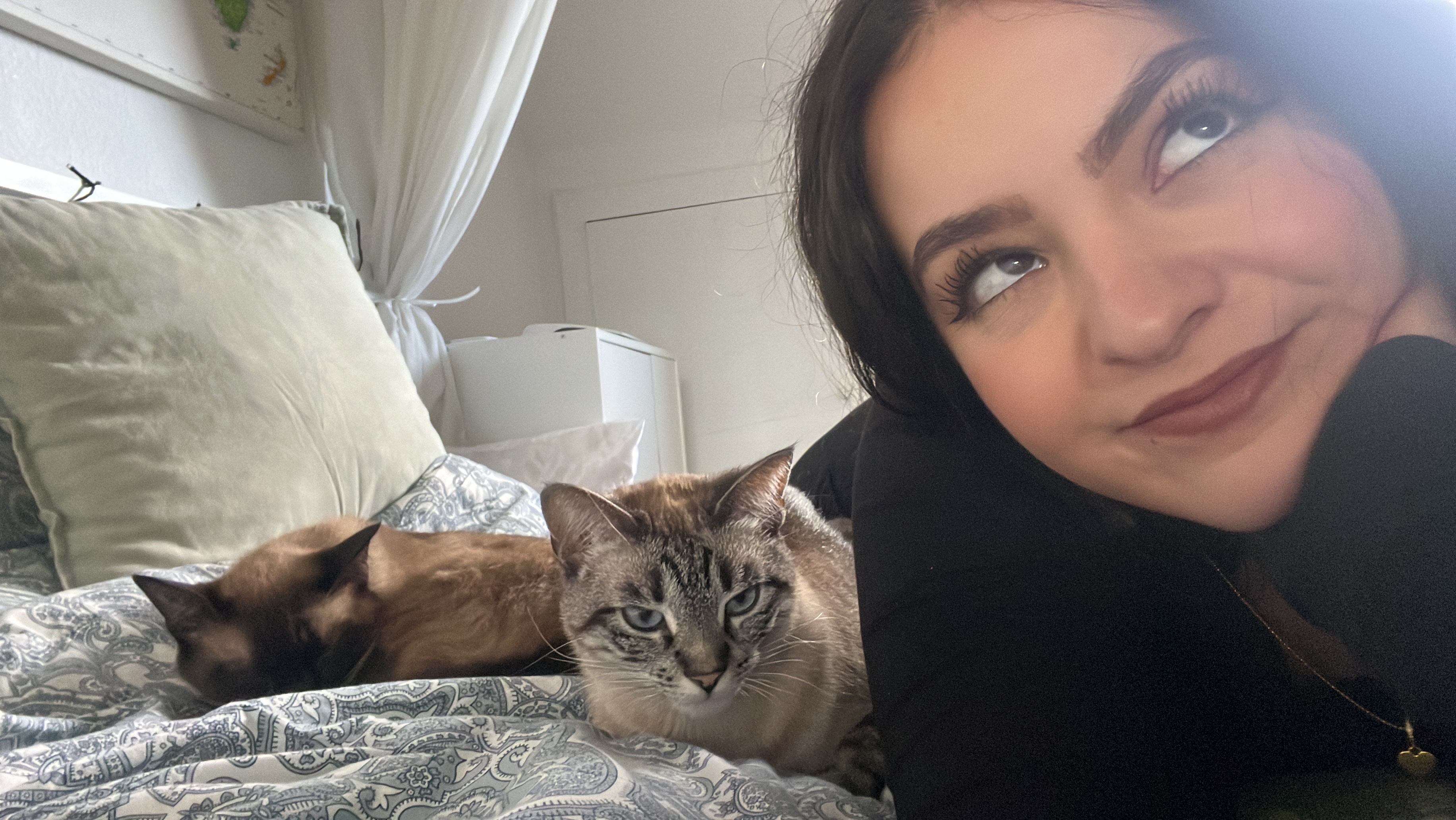 image-6
