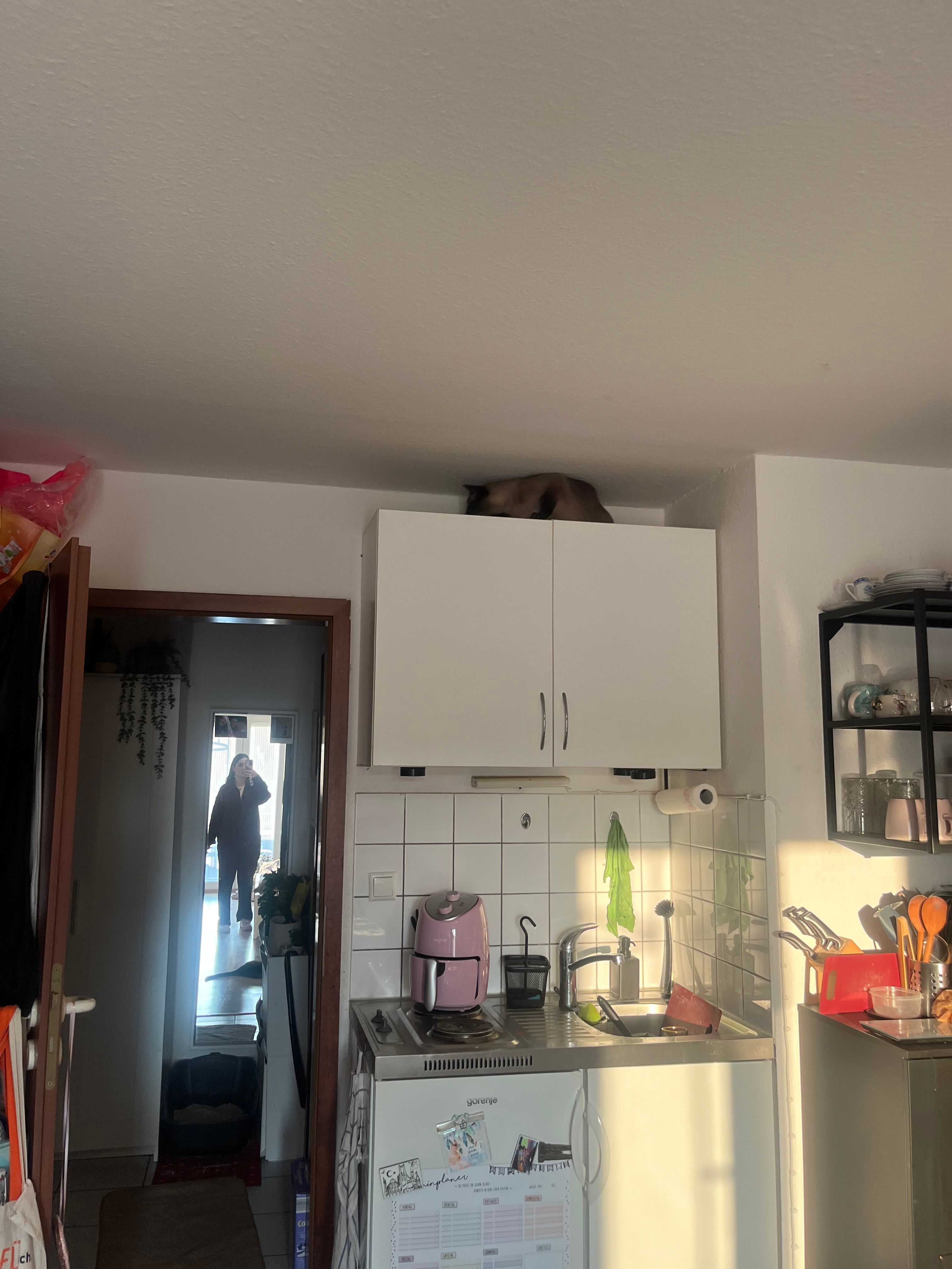 image-14