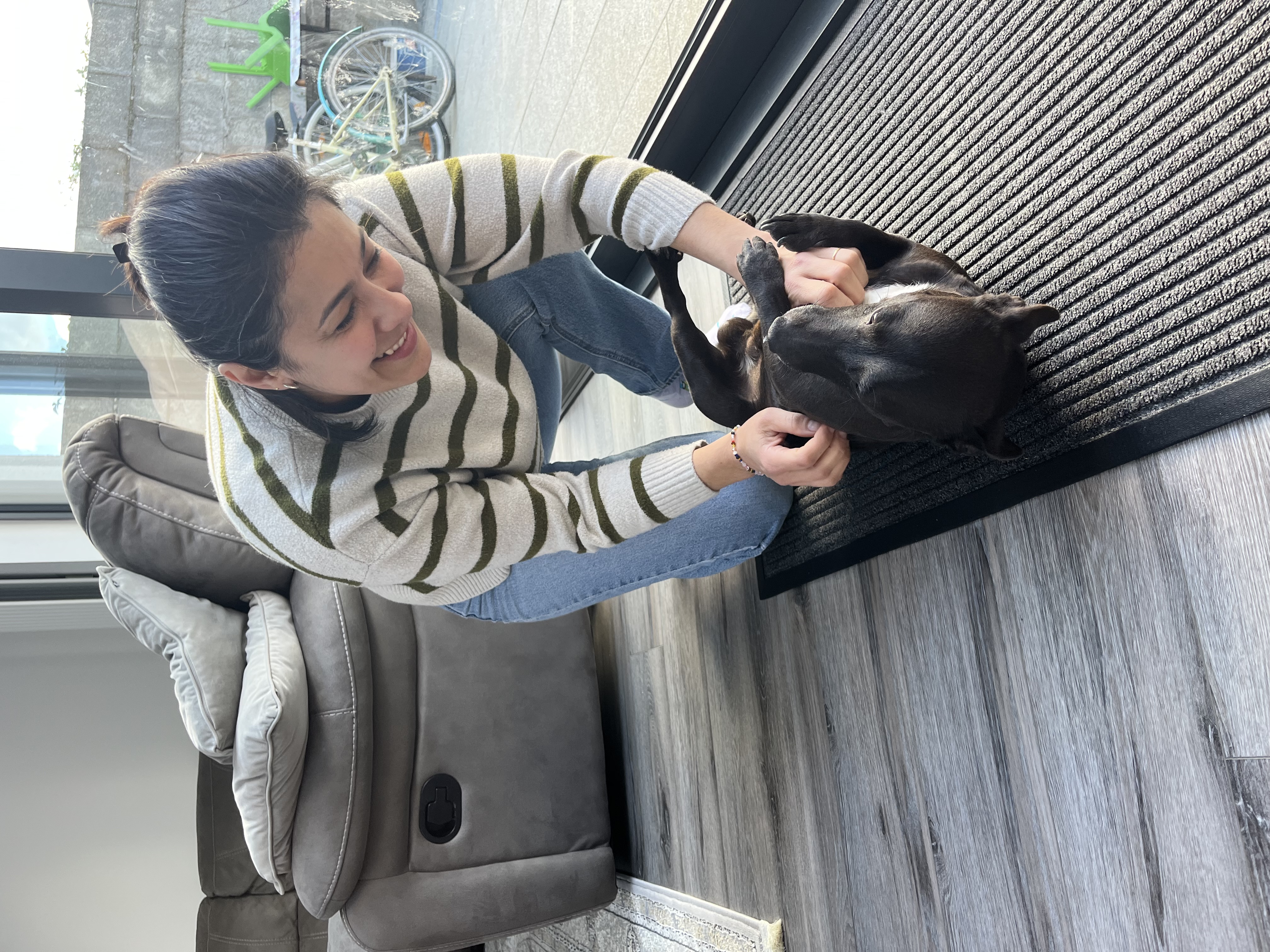image-6