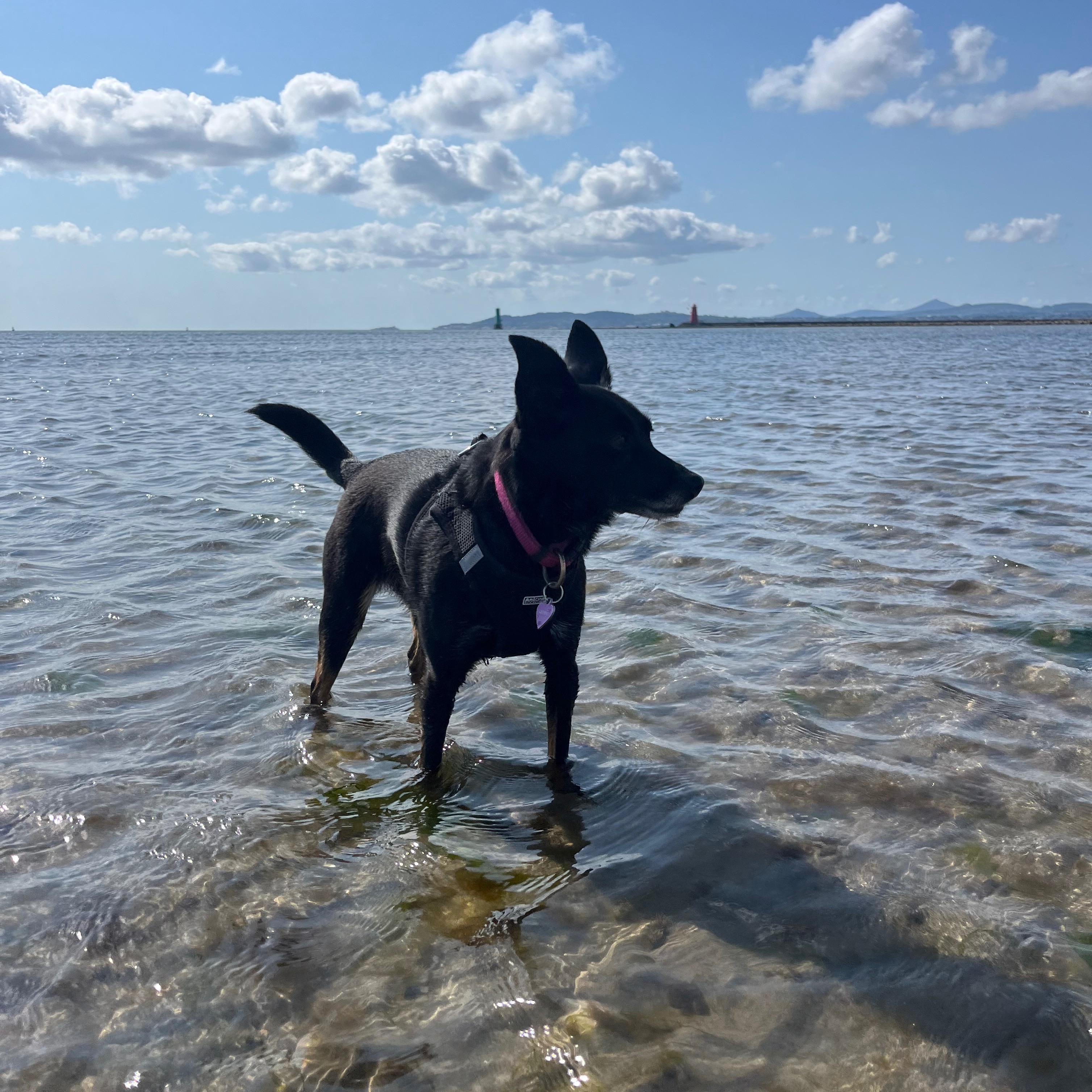 Chloe