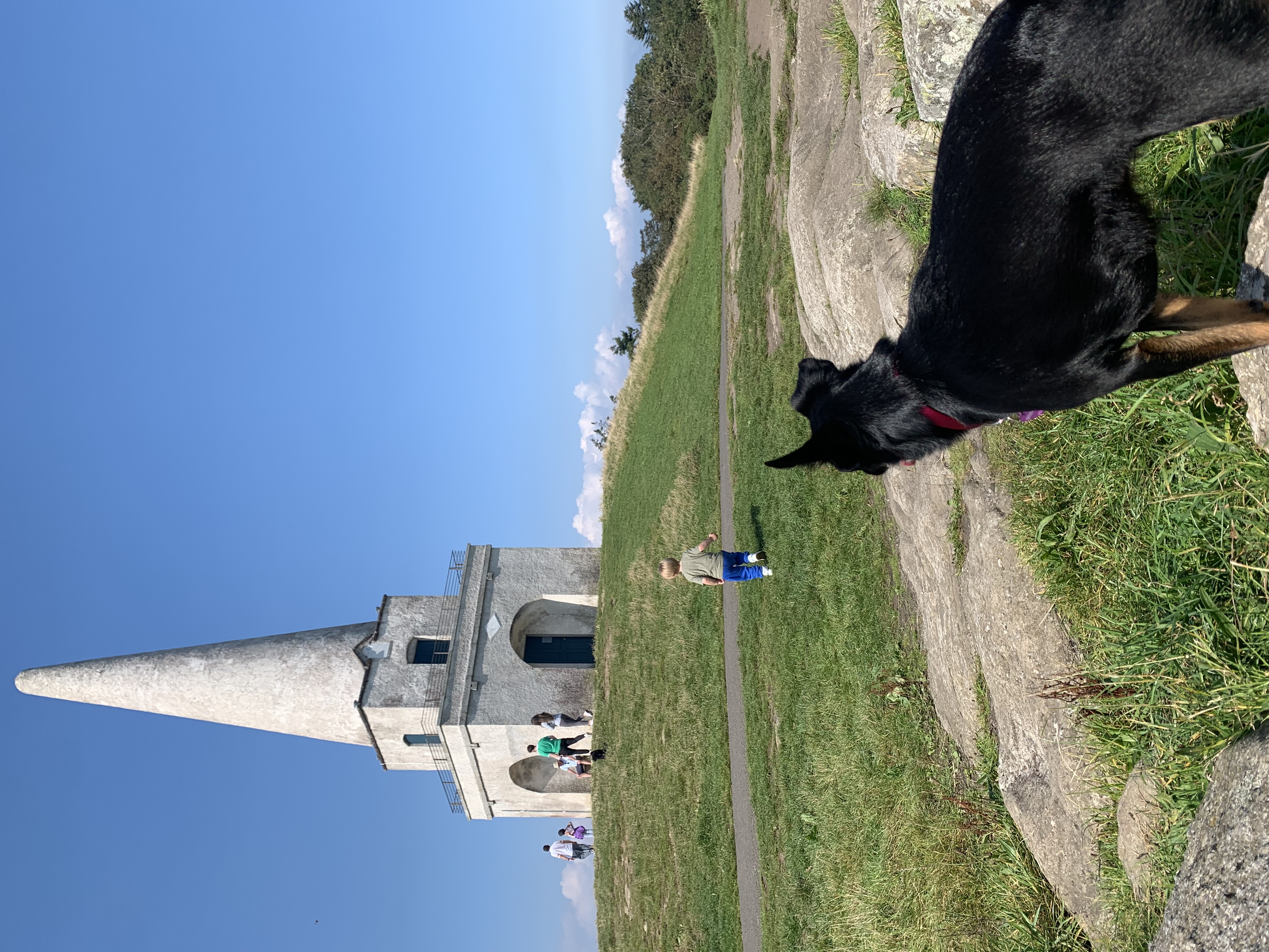 image-11