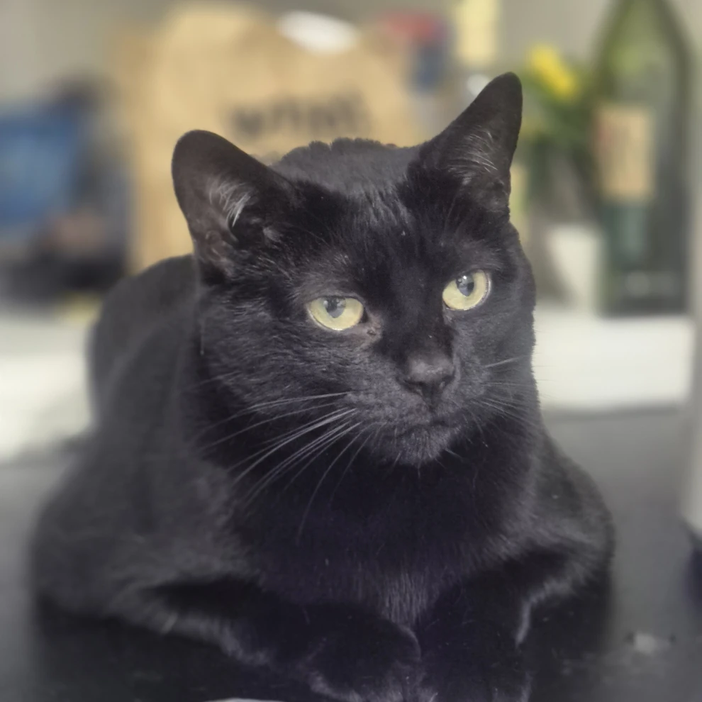 Nala