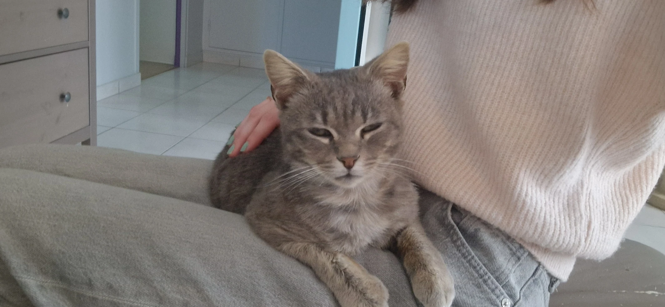 image-6