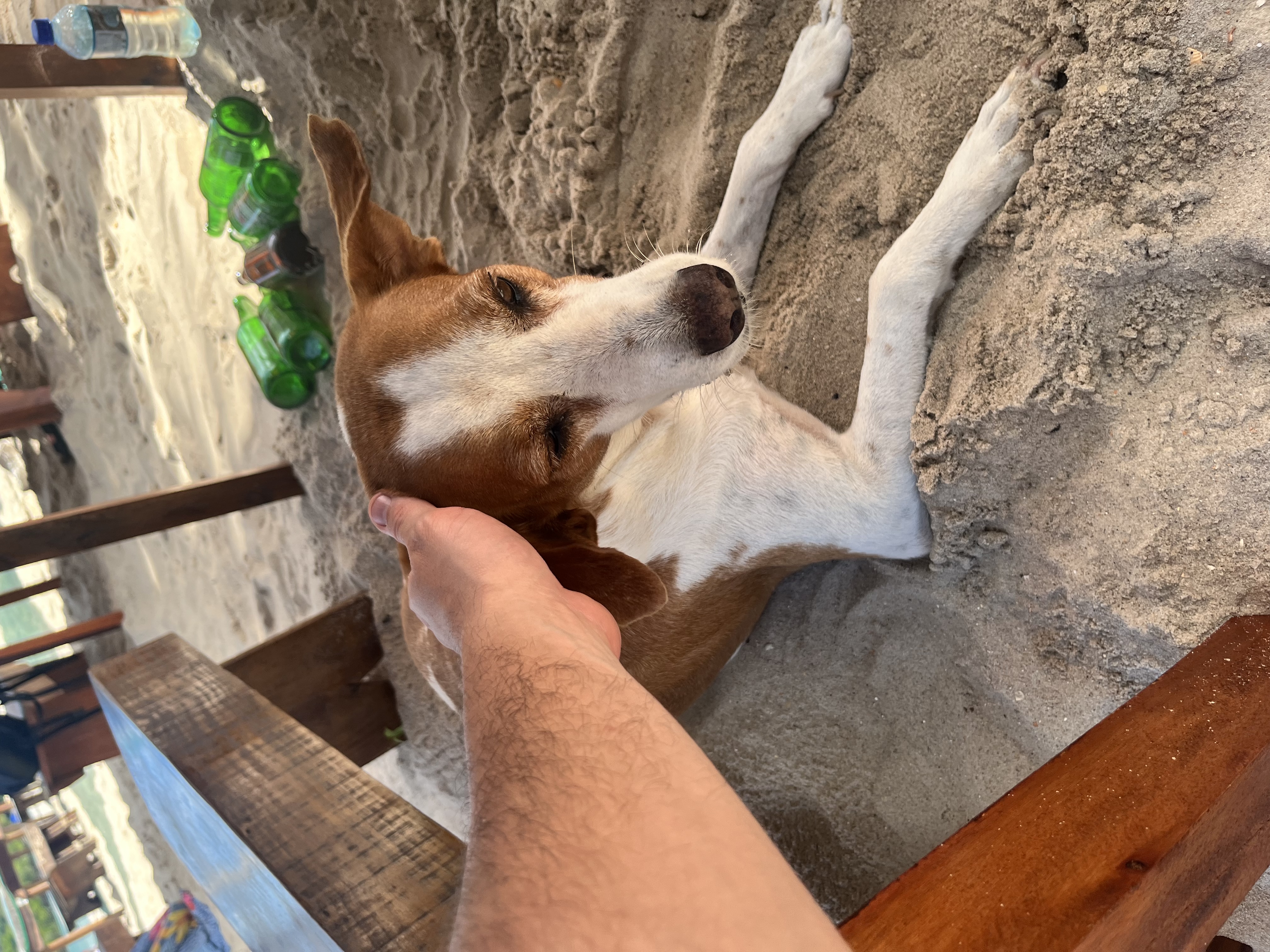 image-5