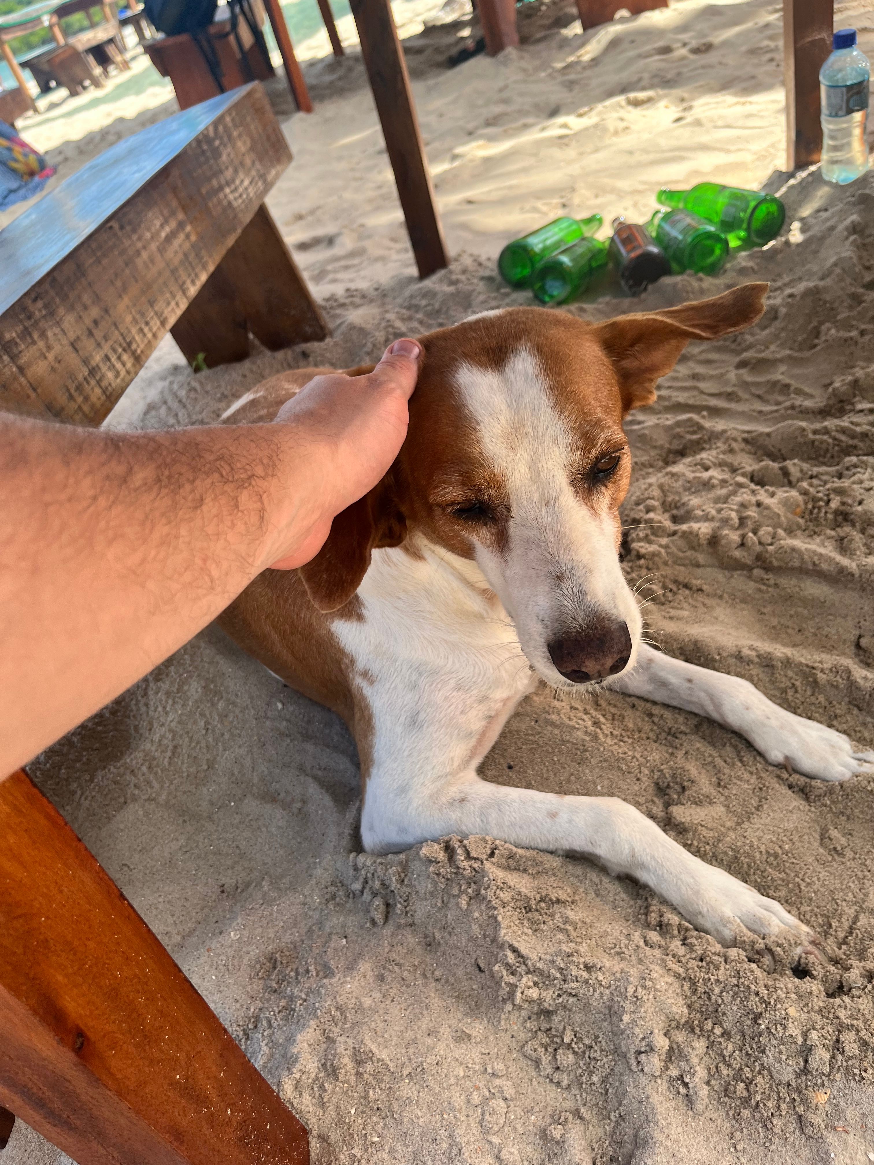image-5
