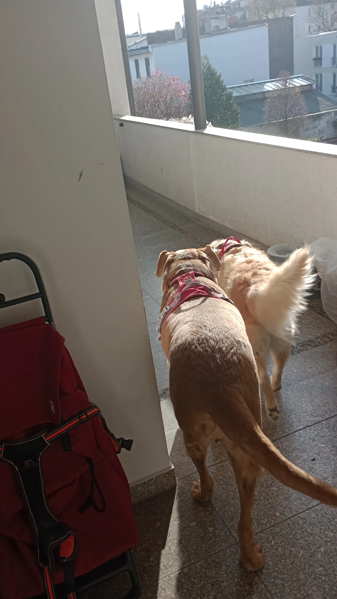 image-18