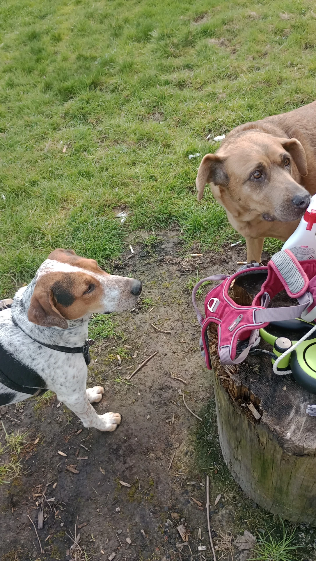 image-19