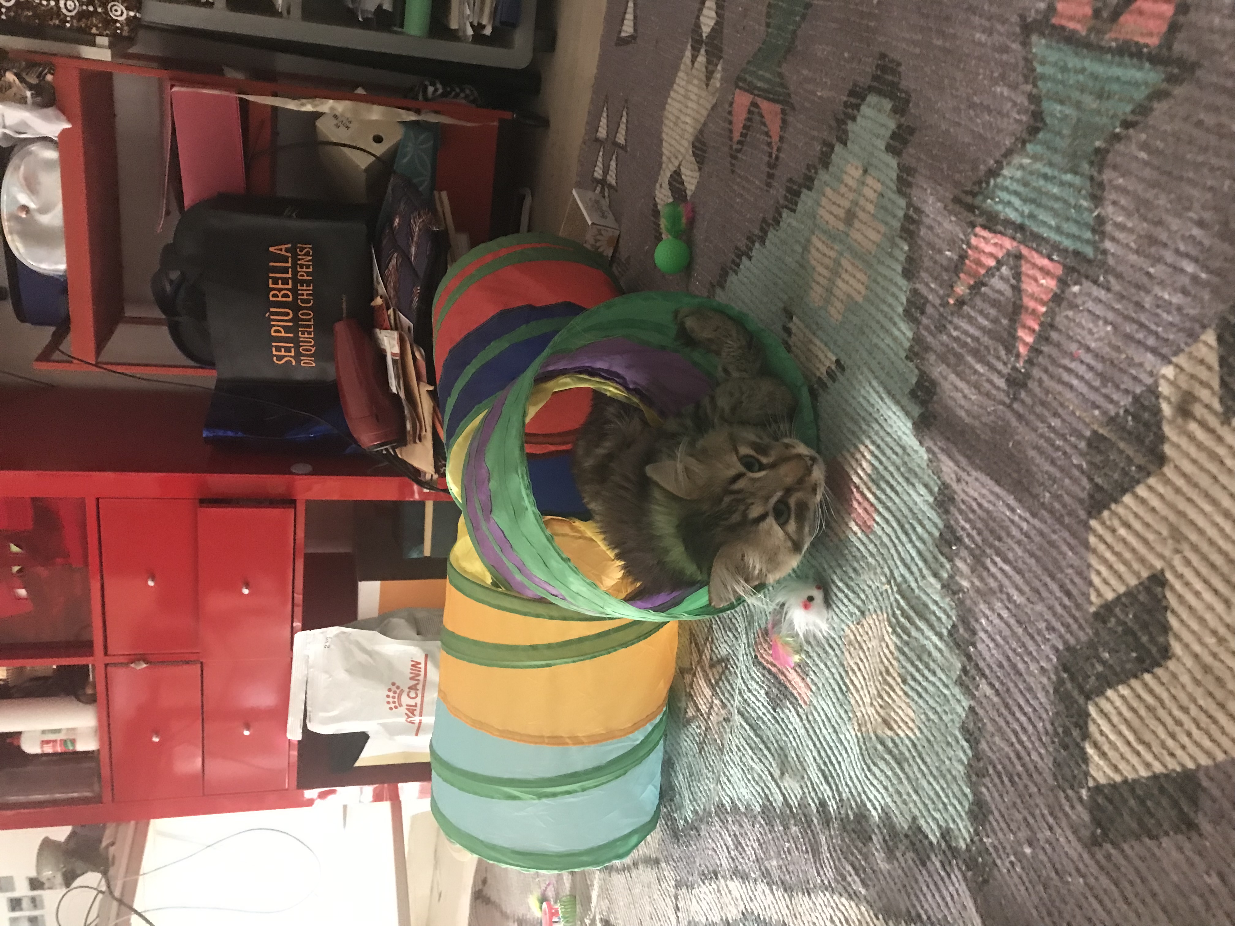 image-14