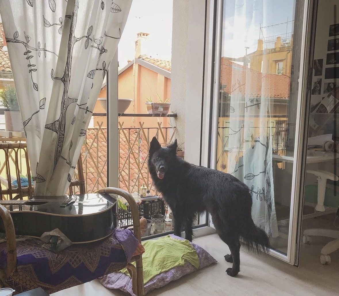 image-6