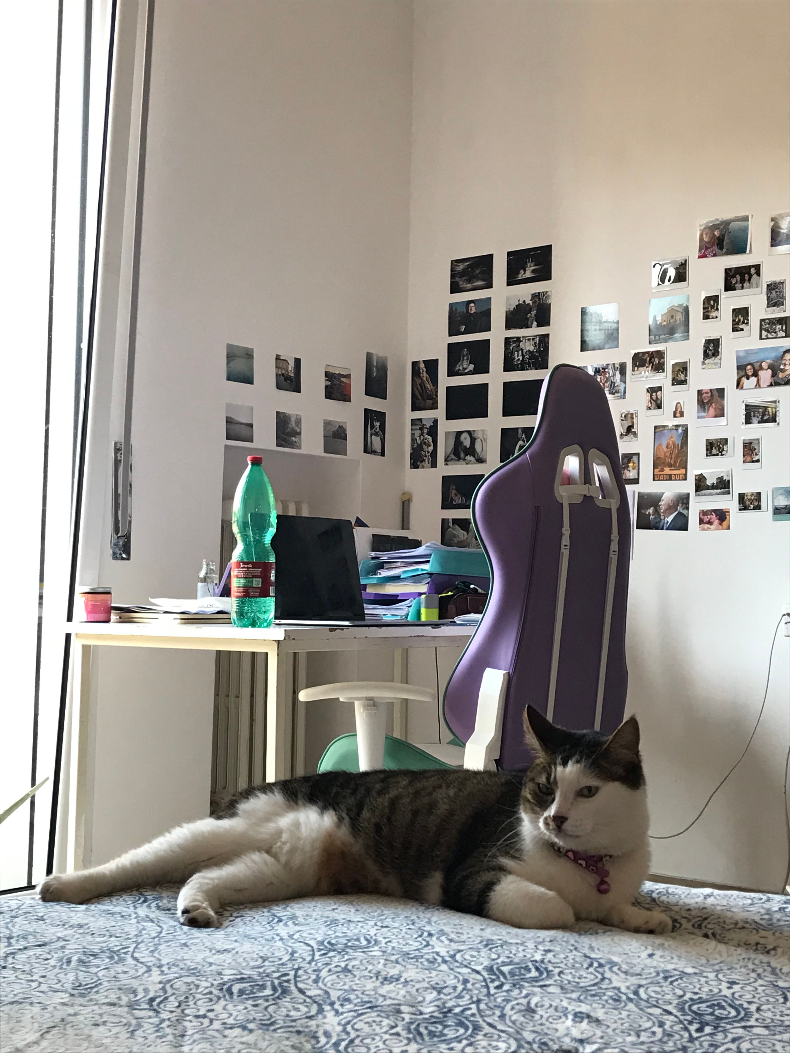 image-18