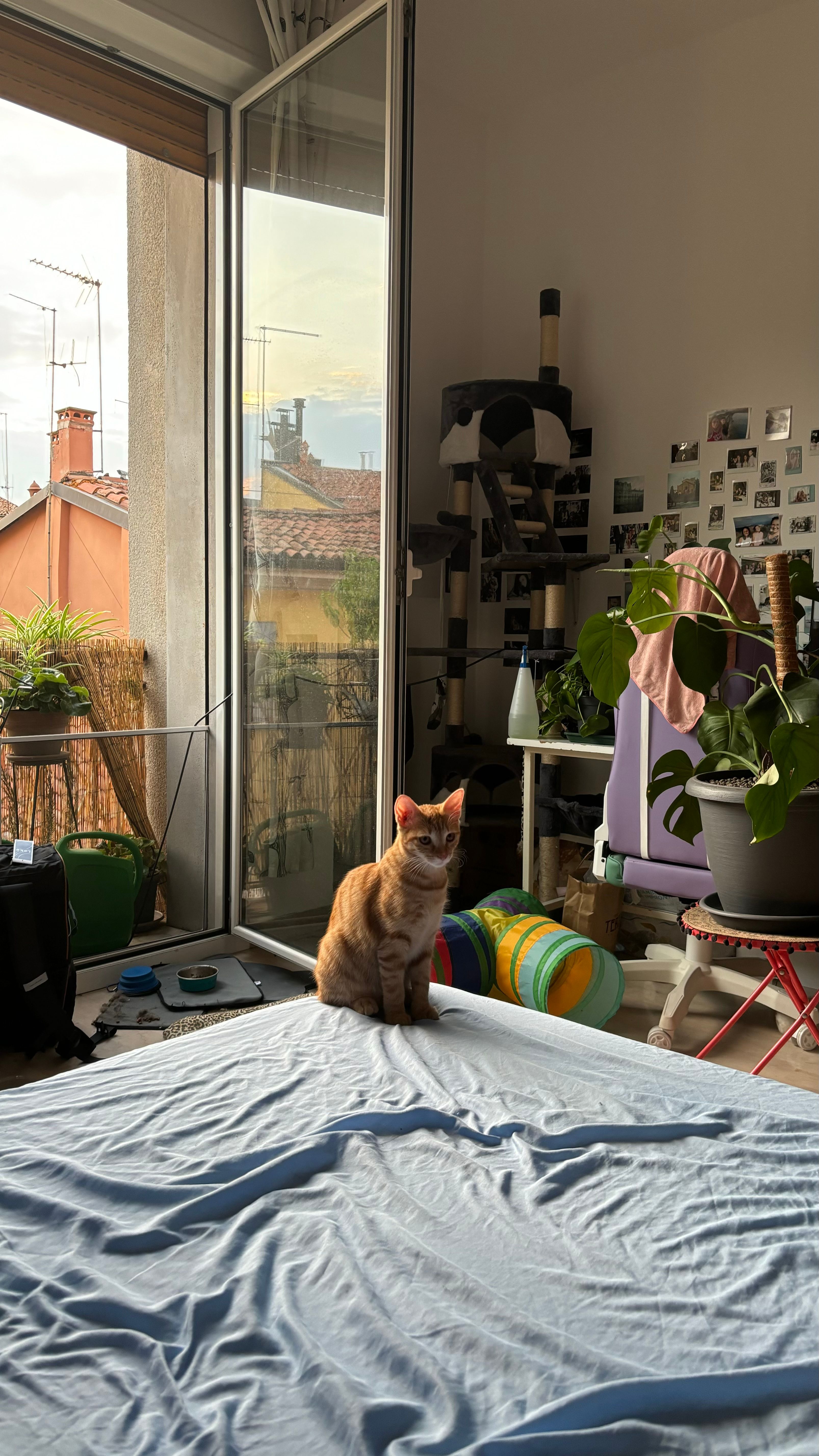 image-15
