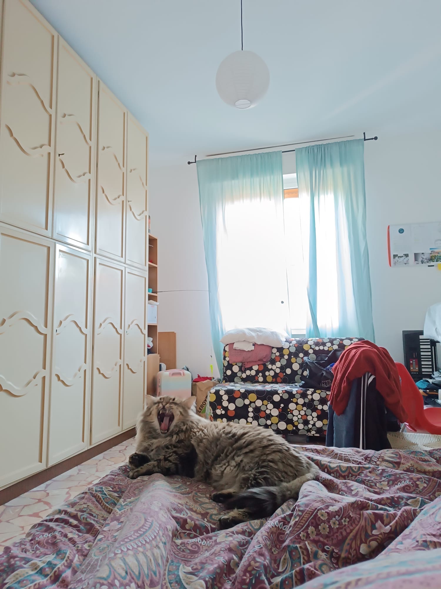 image-17