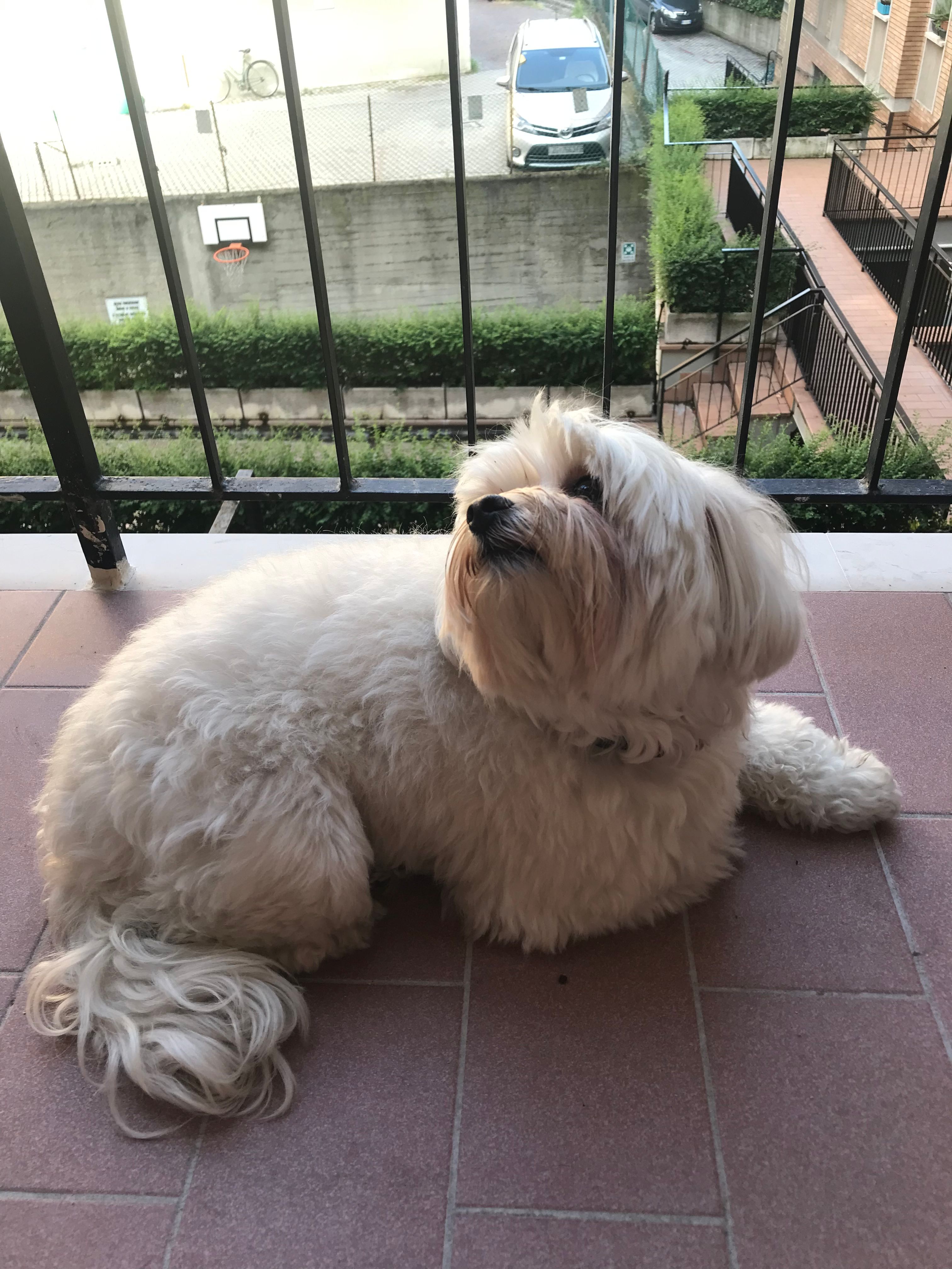 image-10