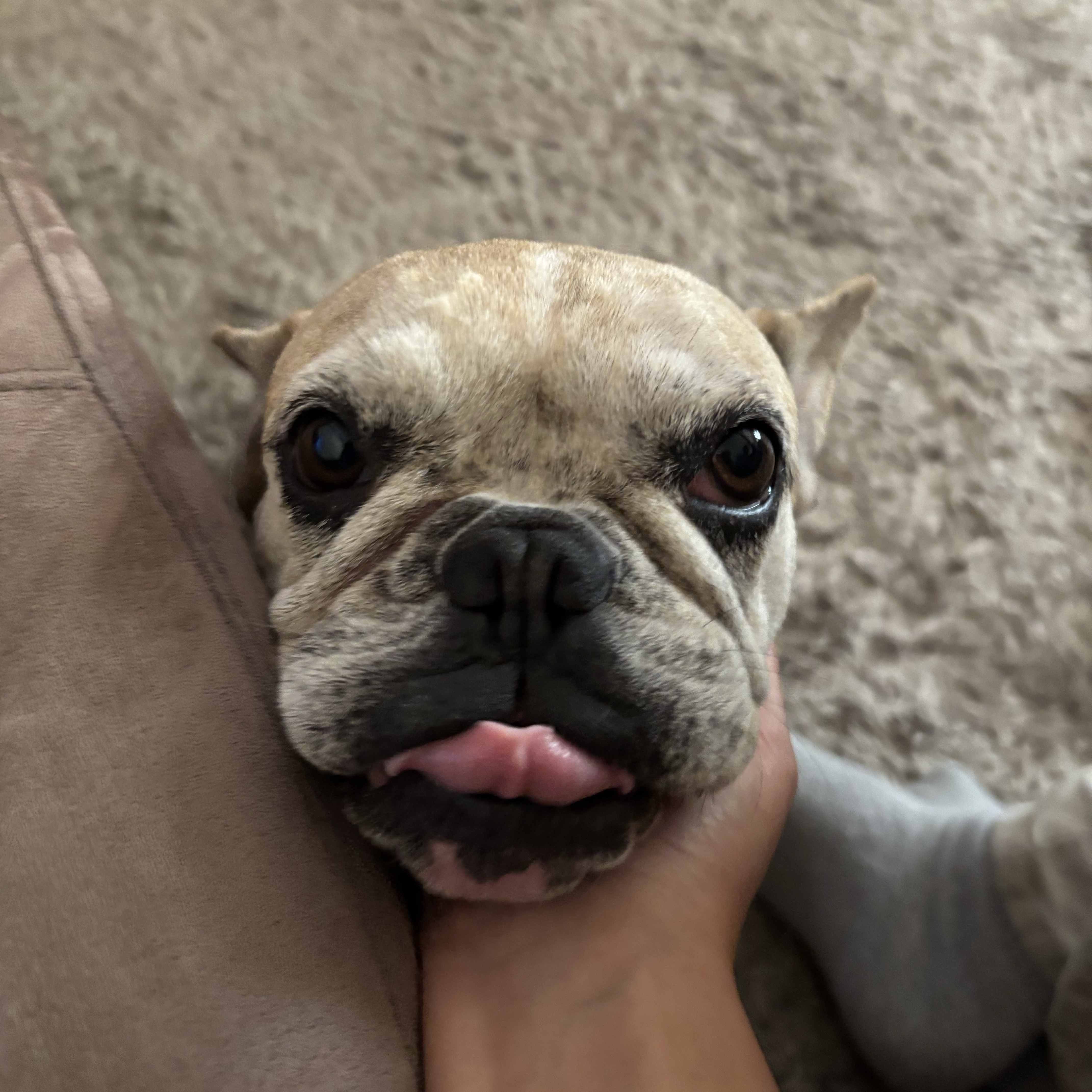 Nala