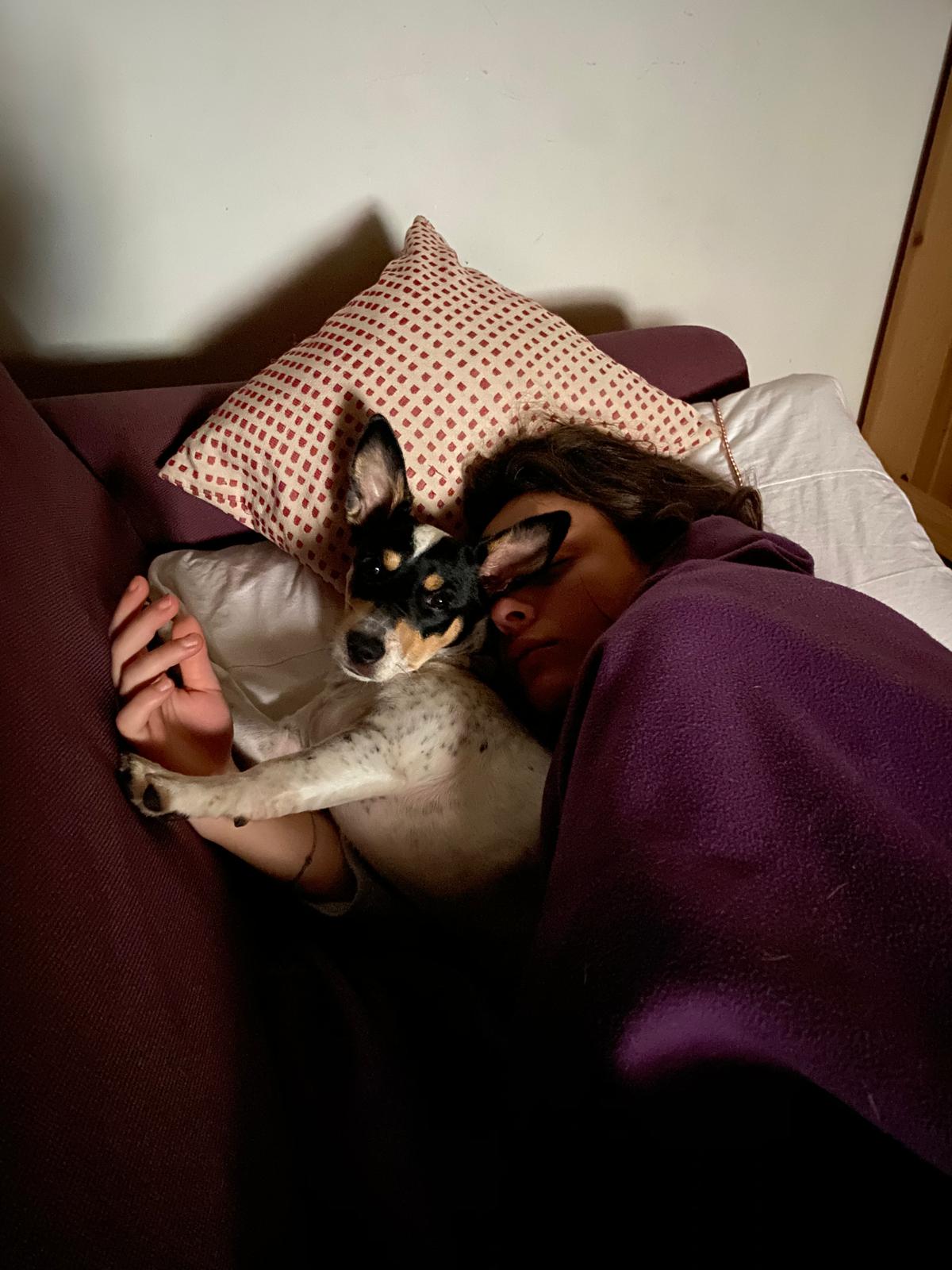 image-6