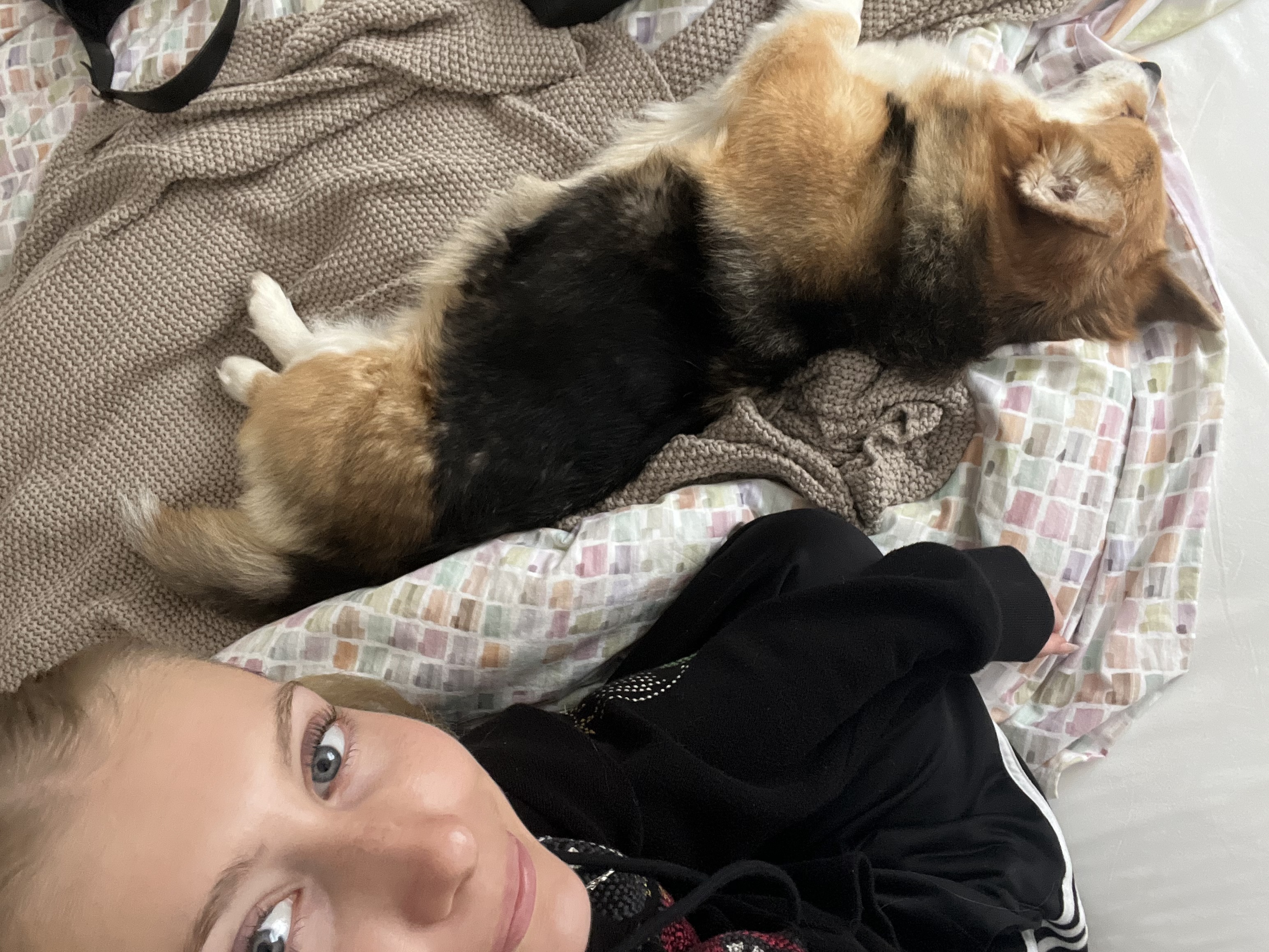 image-6