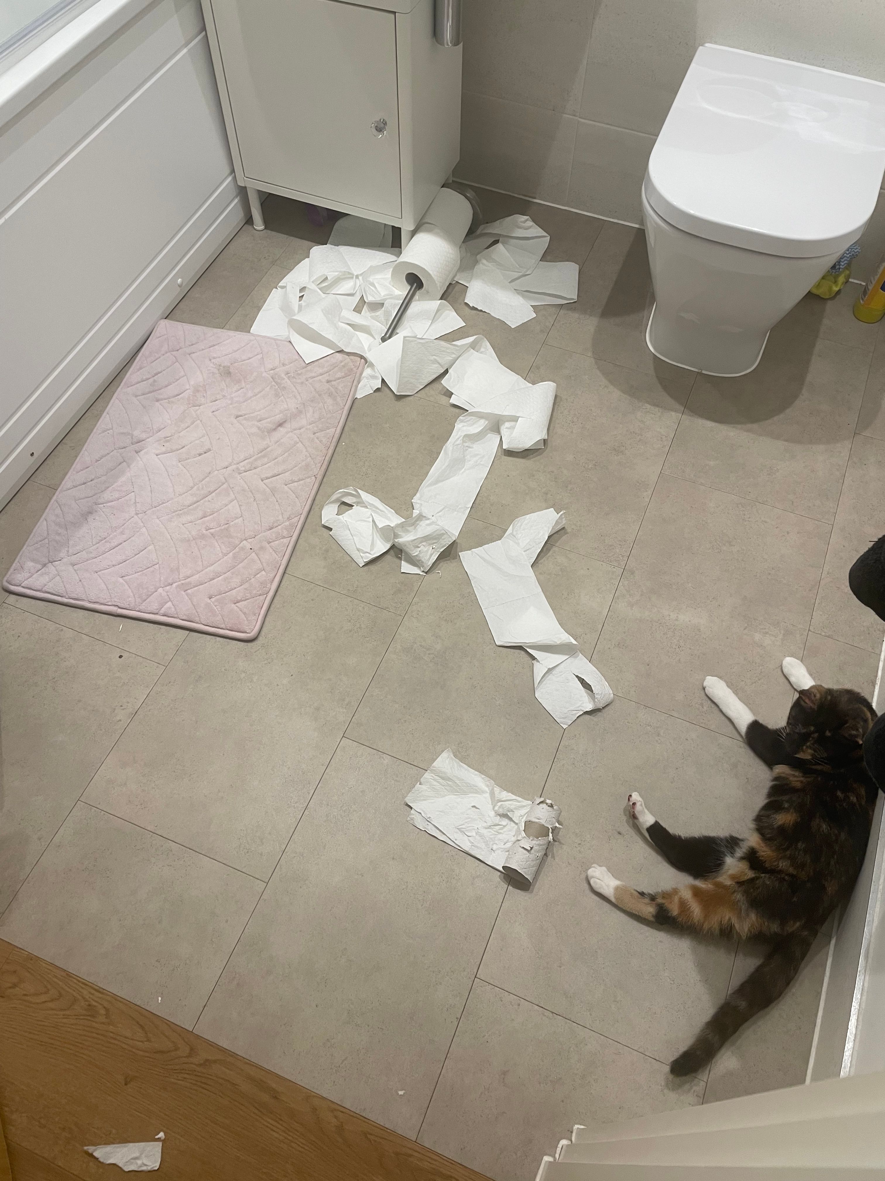 image-31