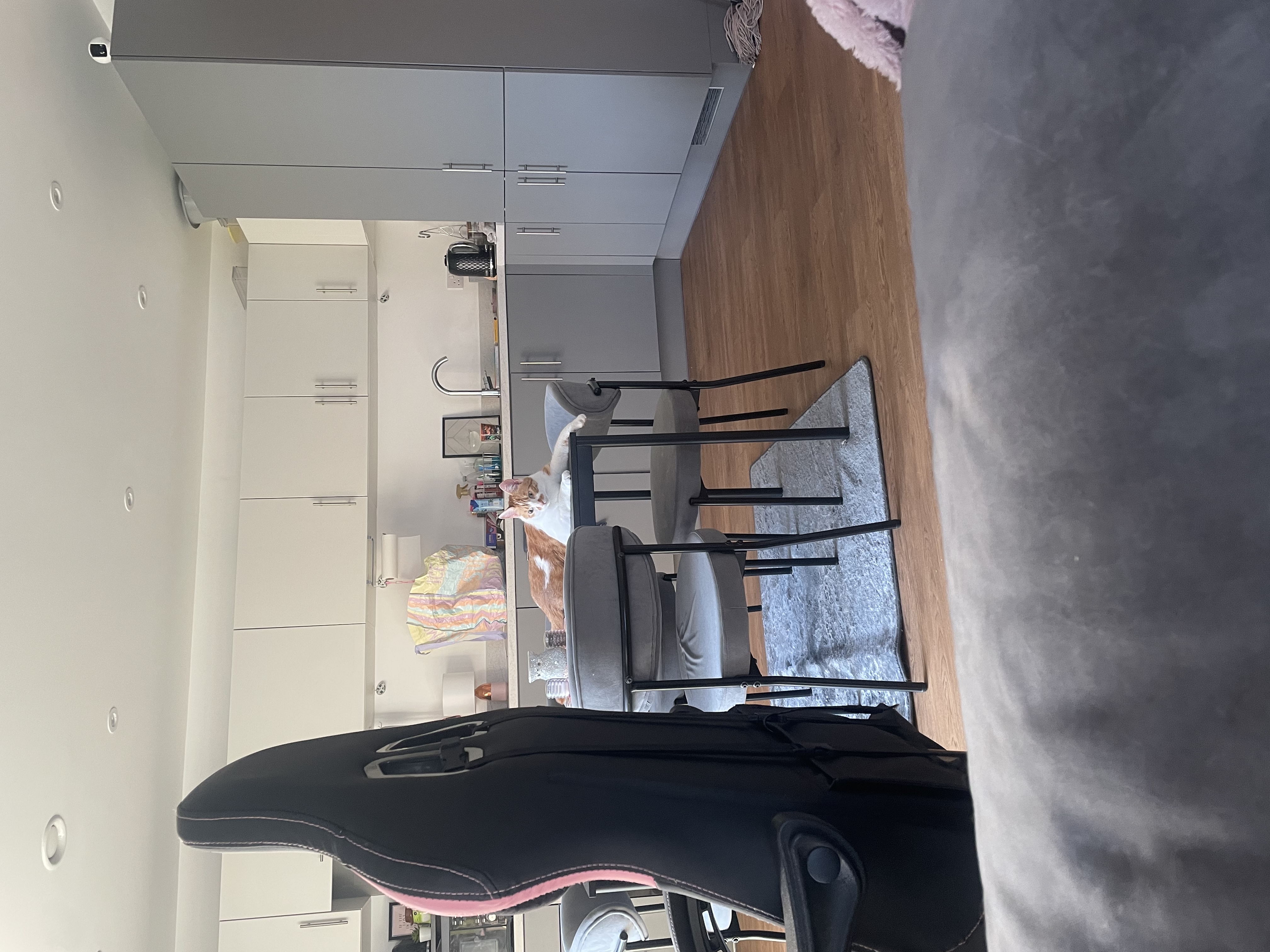 image-25