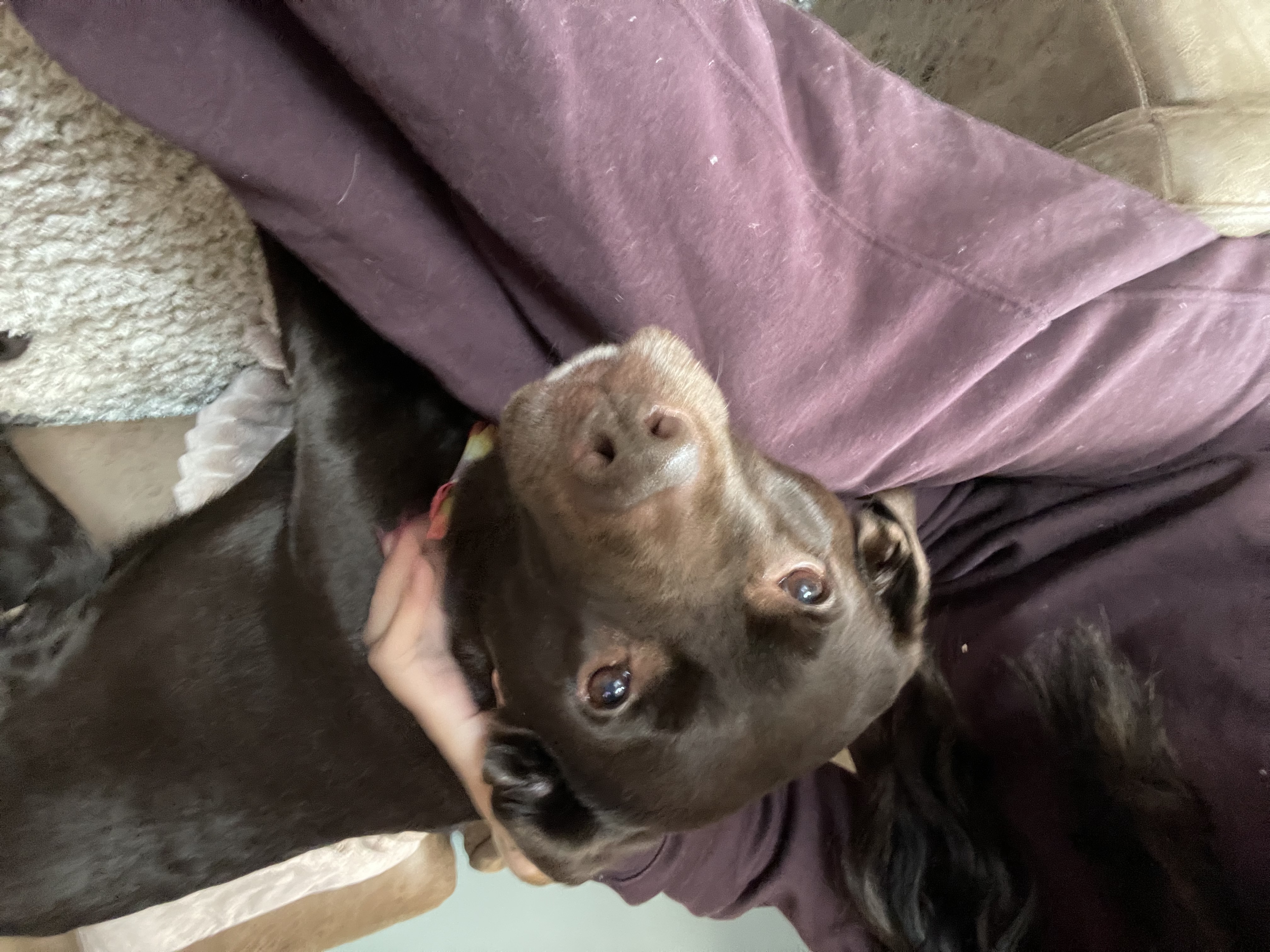 image-6