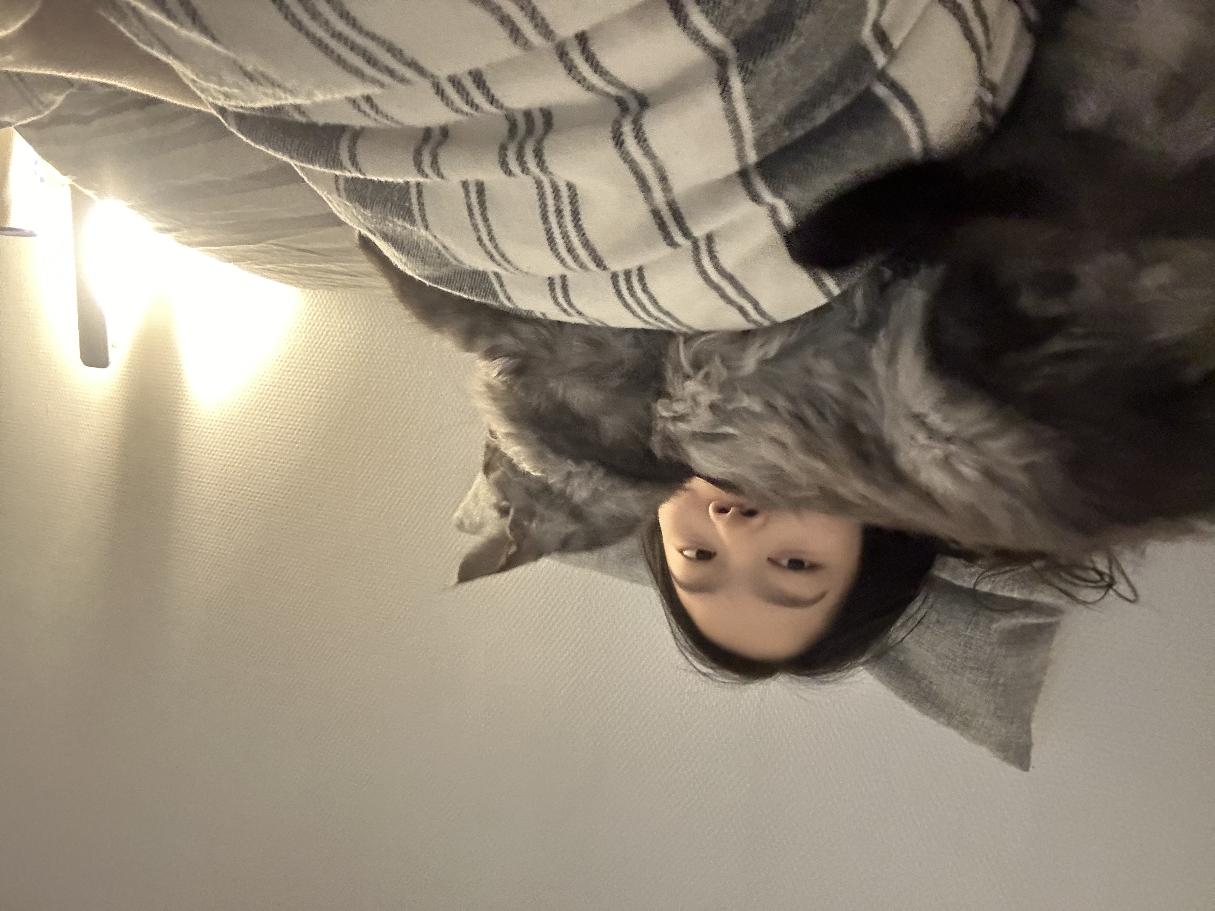 image-12