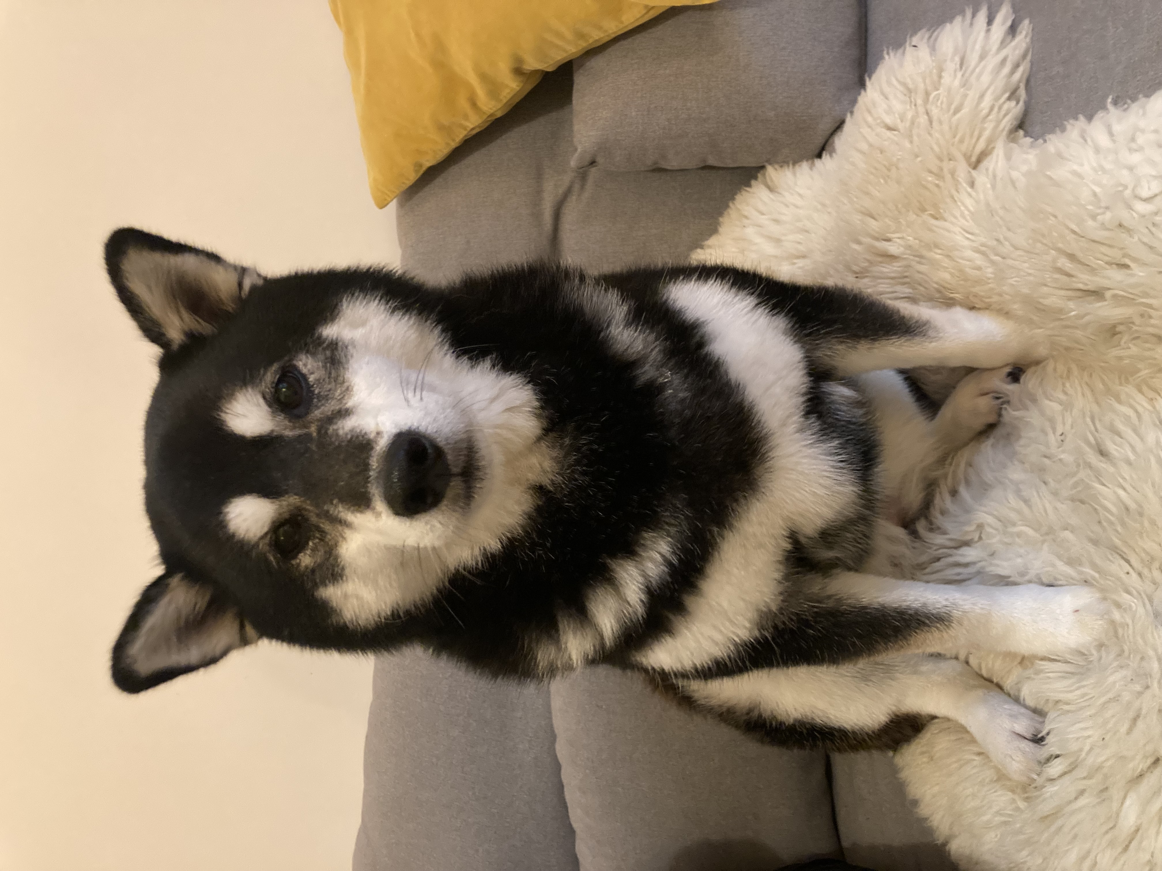 image-8