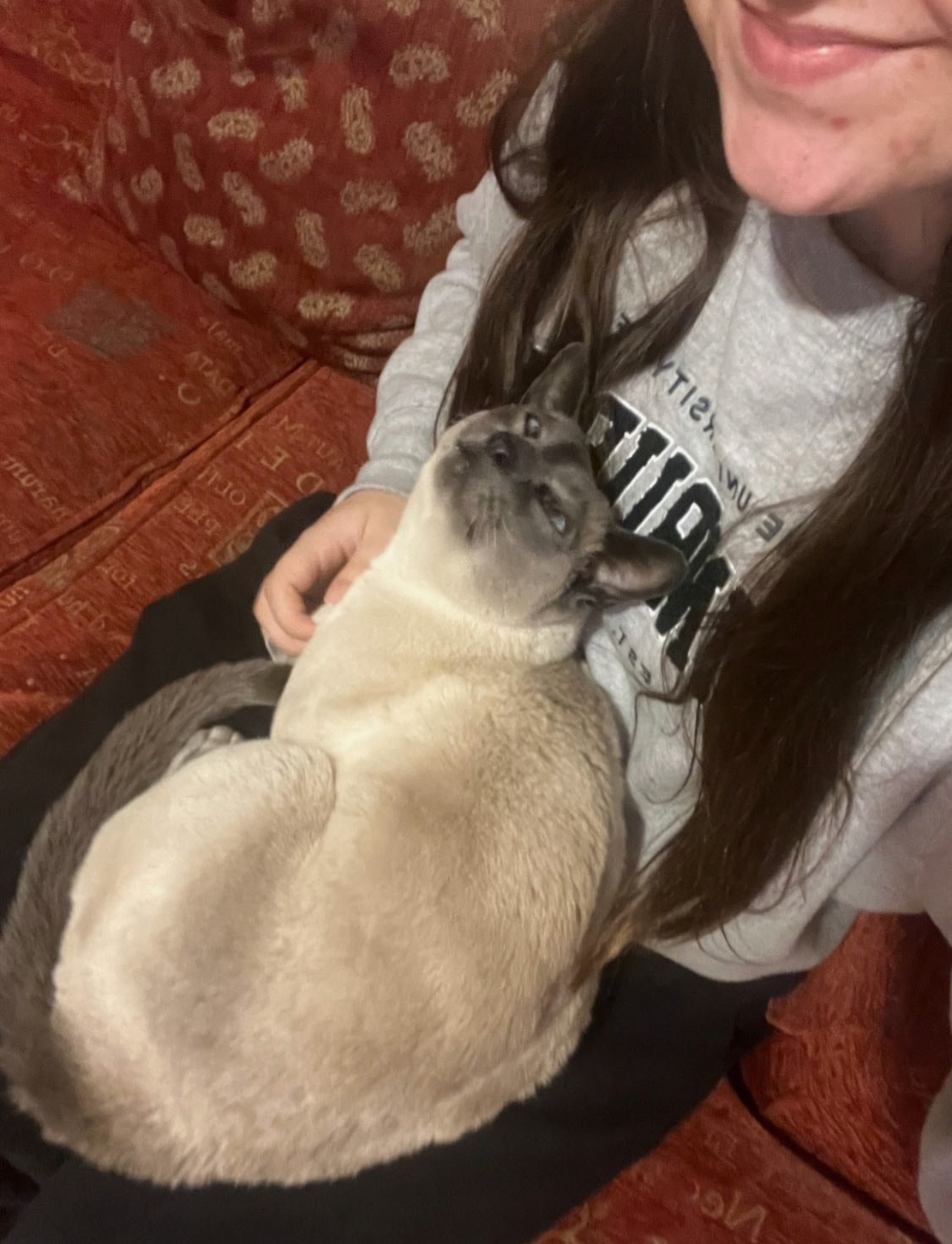 image-8