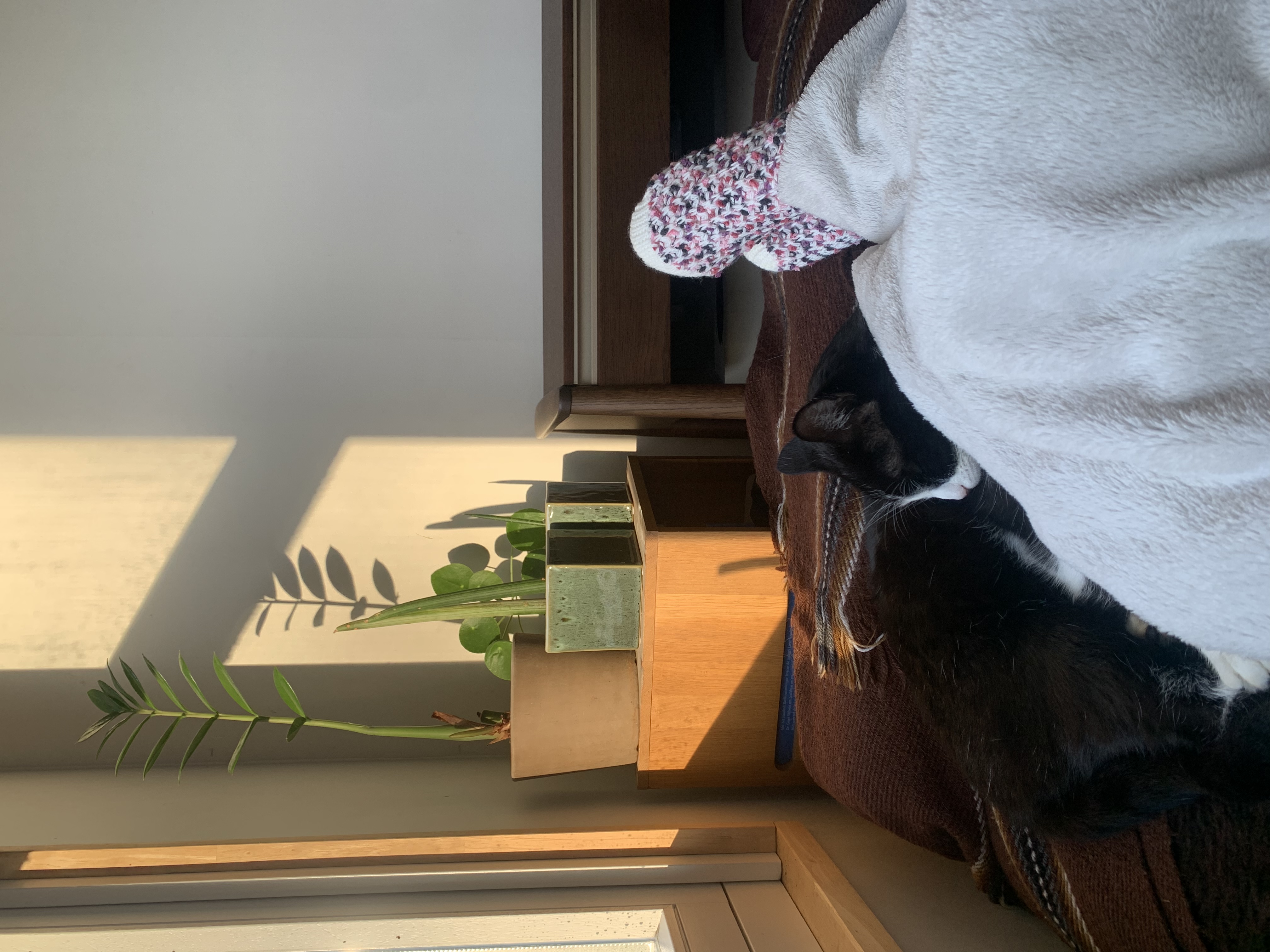image-5
