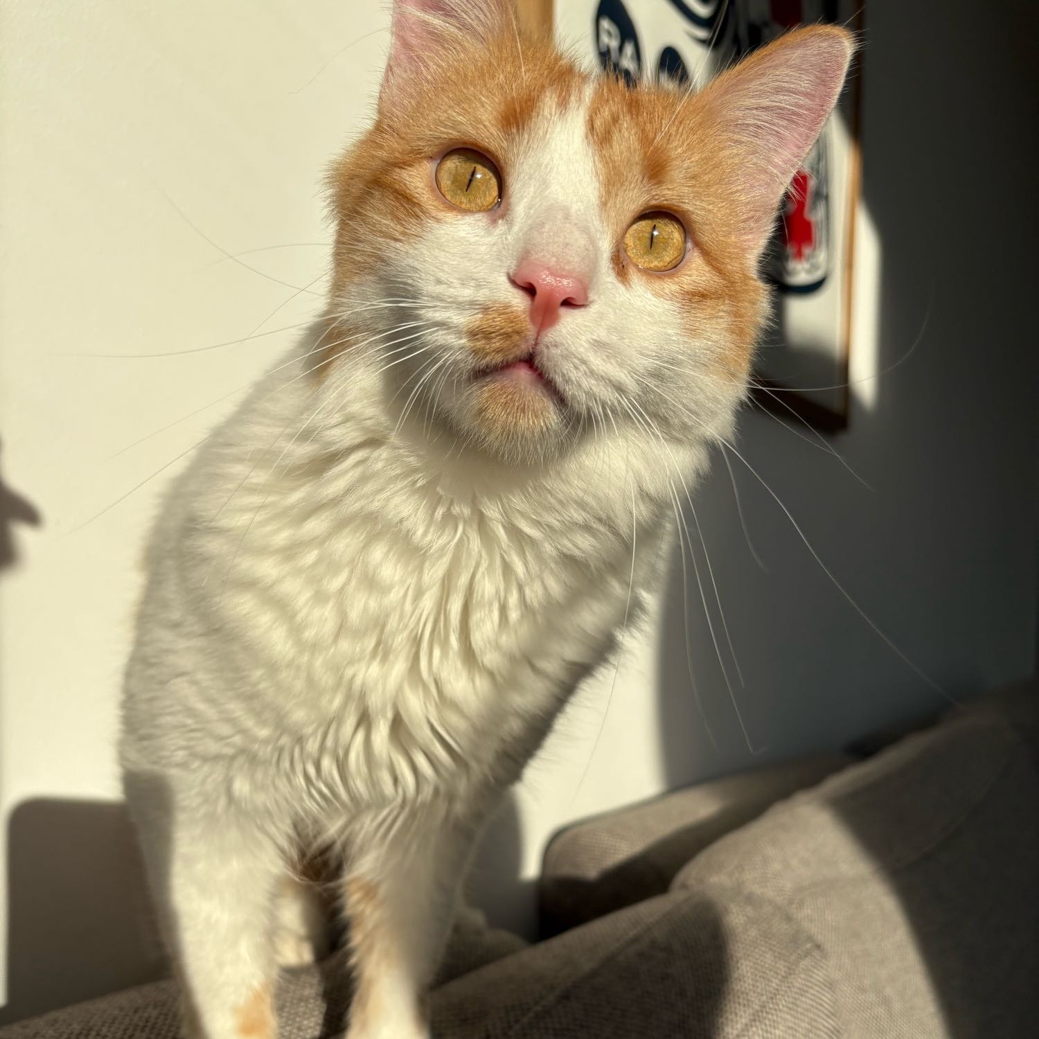 Charlie