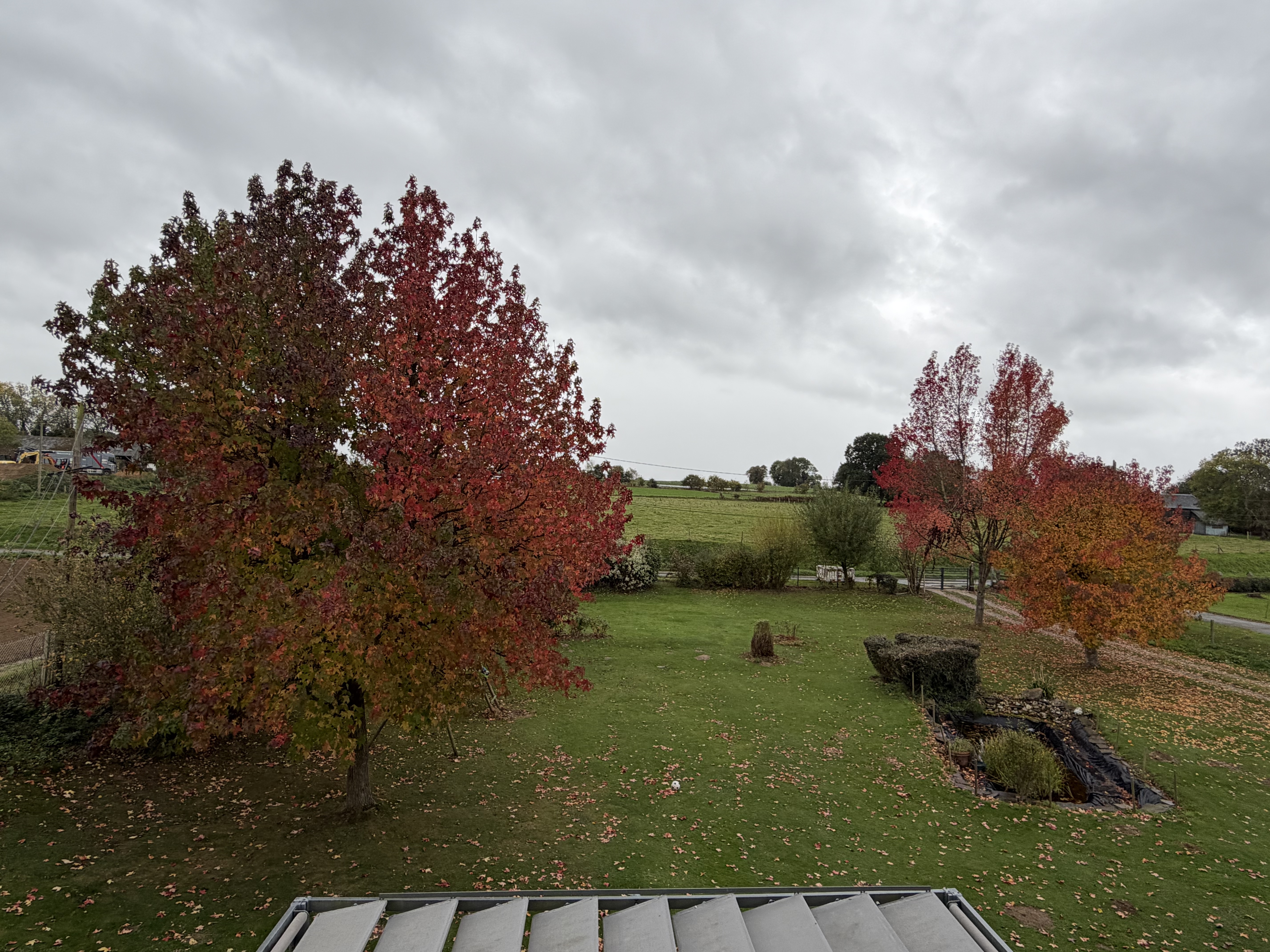 image-7
