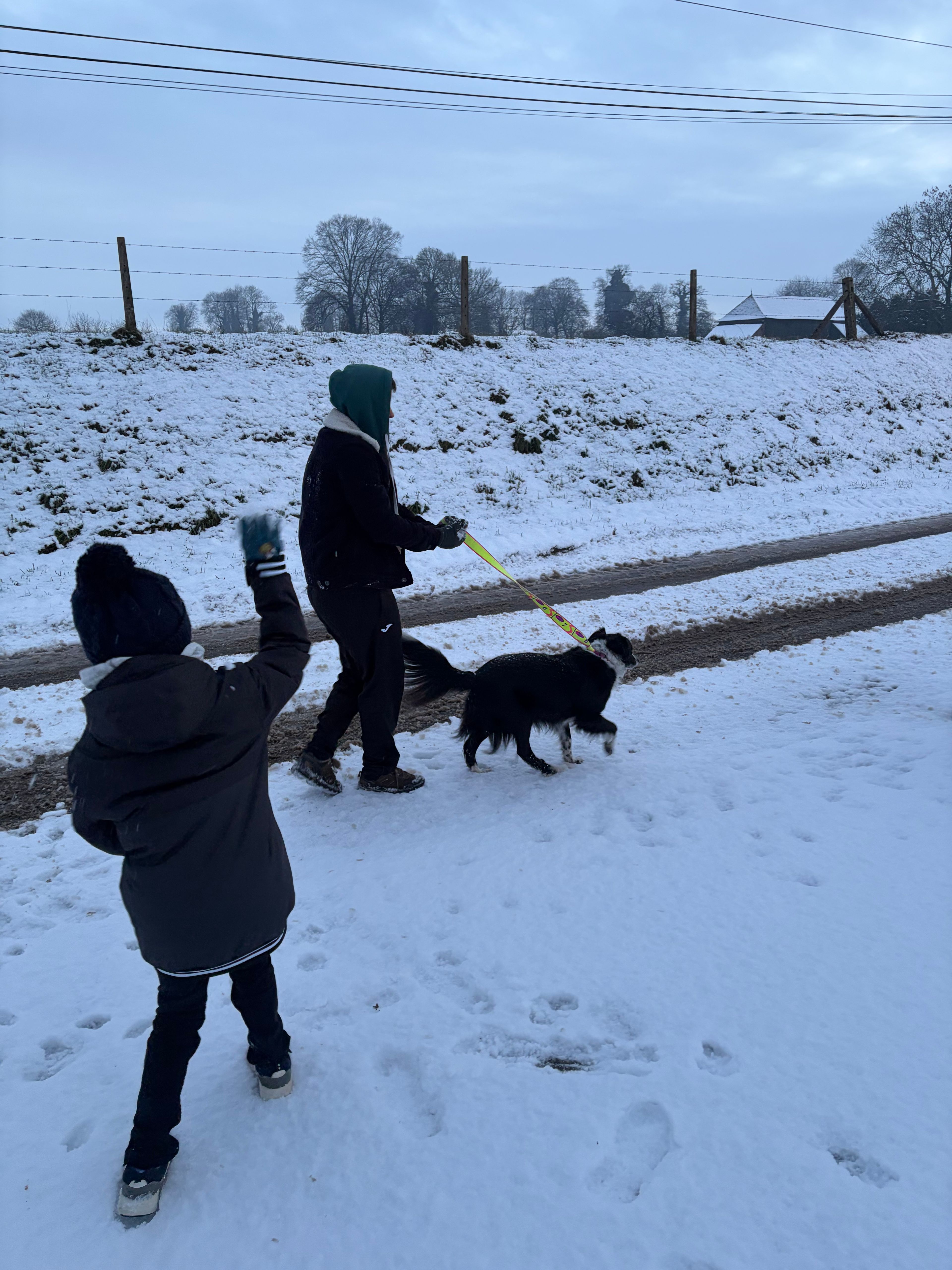 image-6