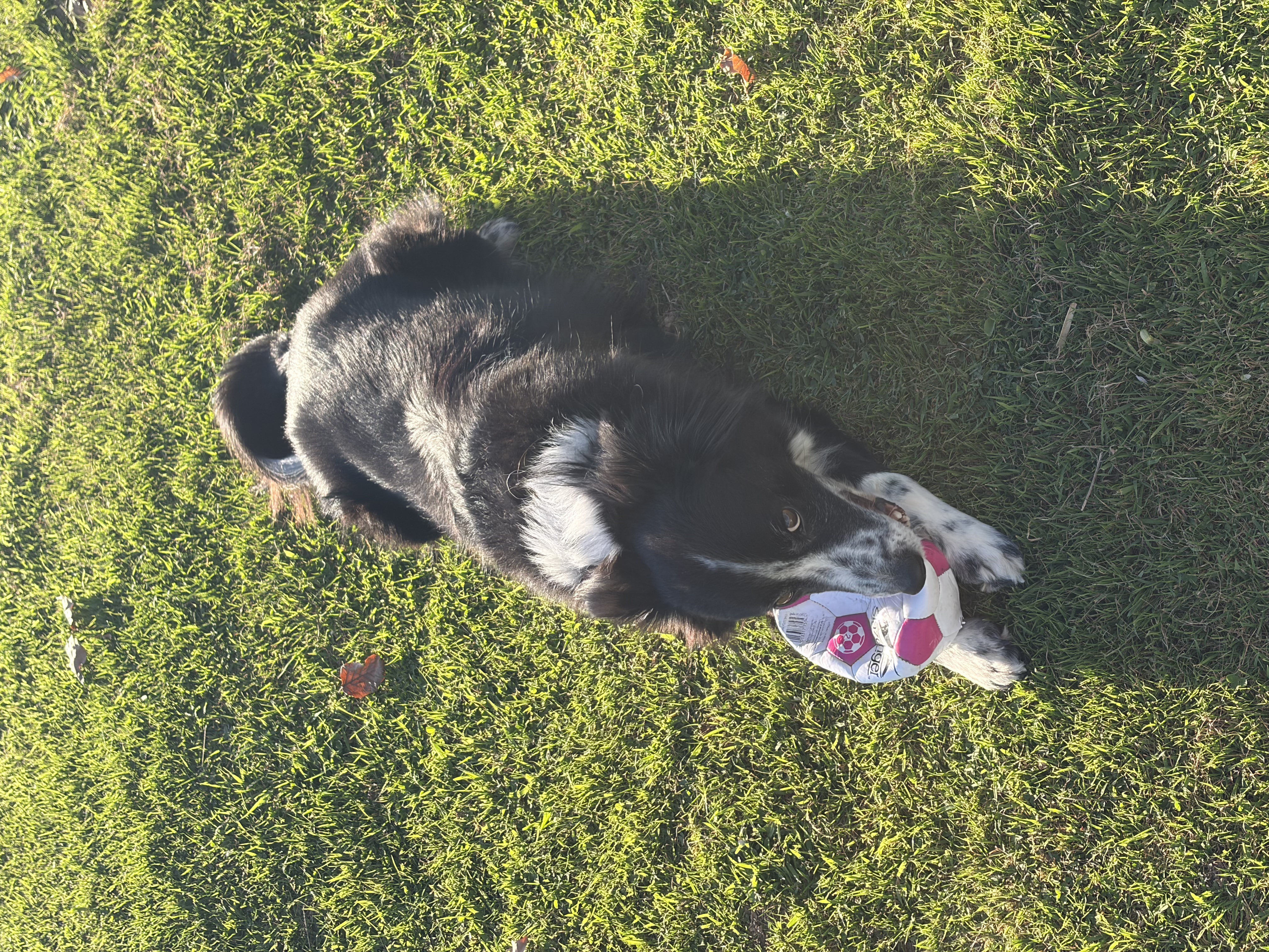 image-5