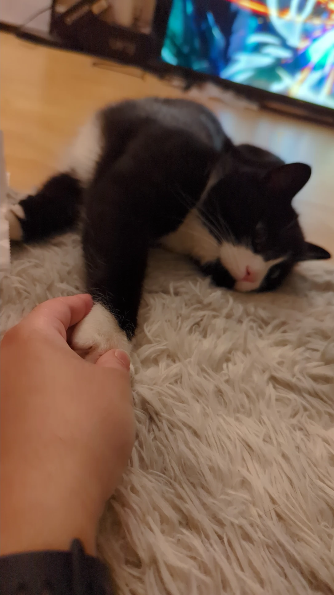 image-8