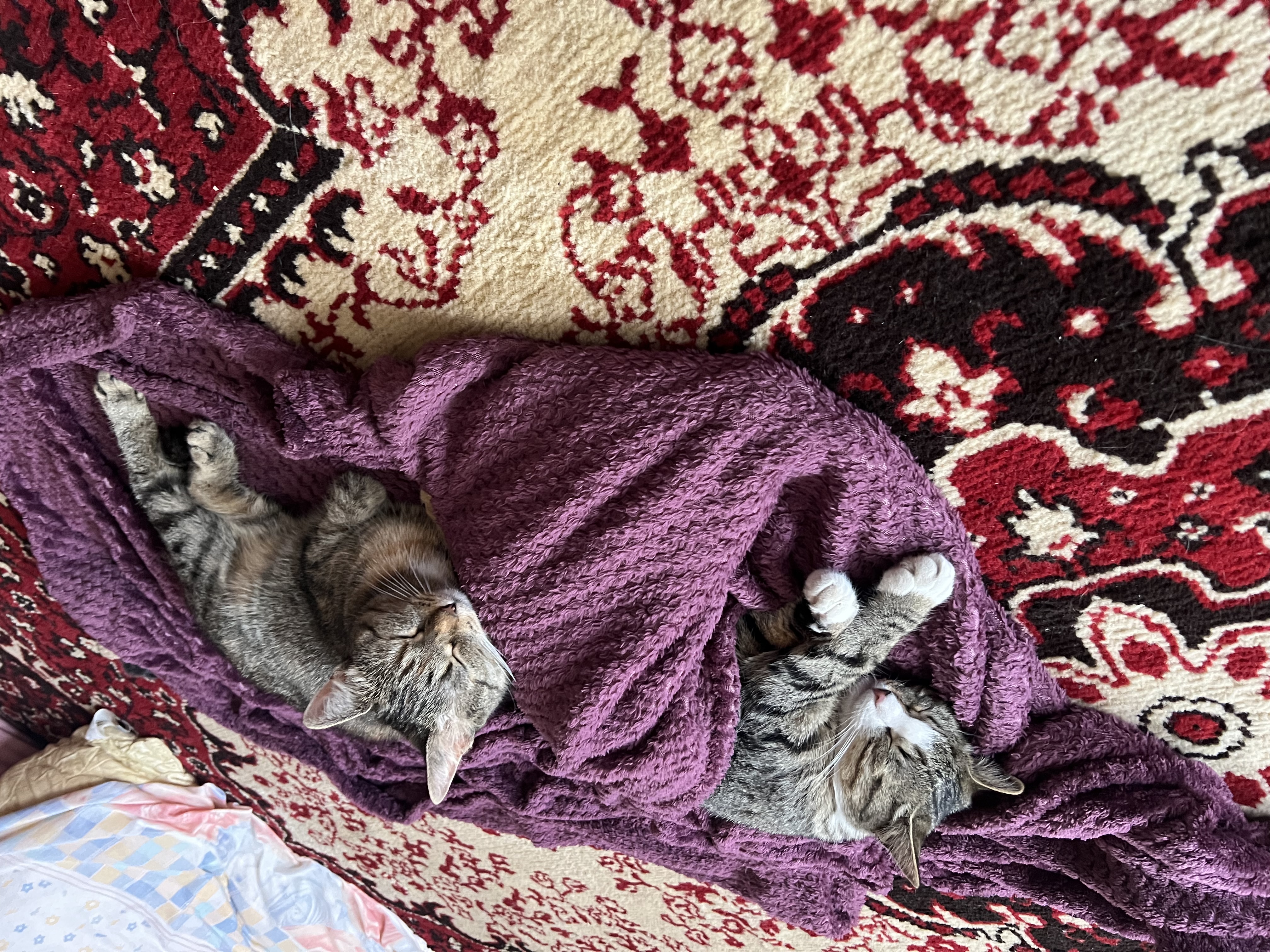 image-6