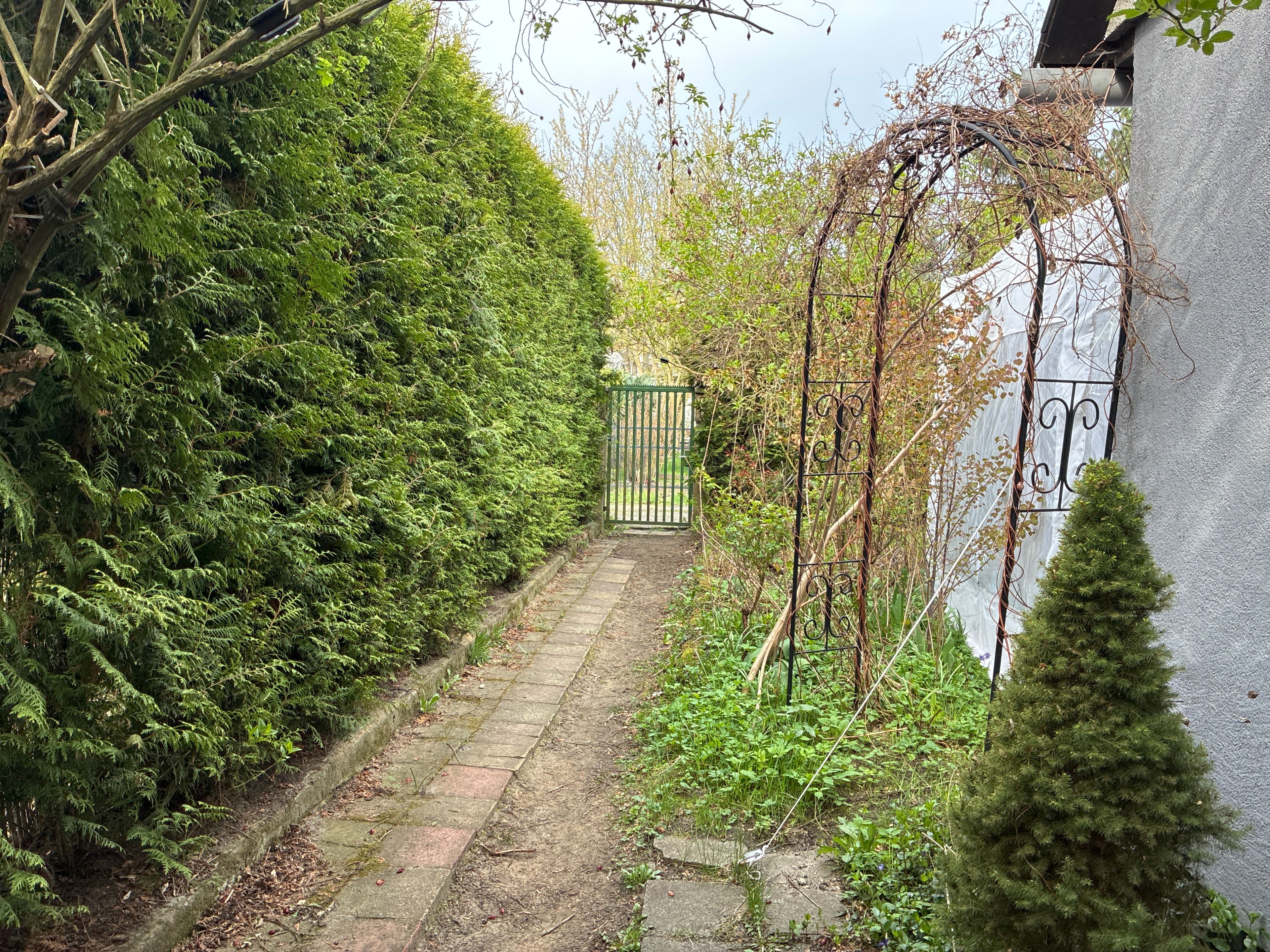 image-17