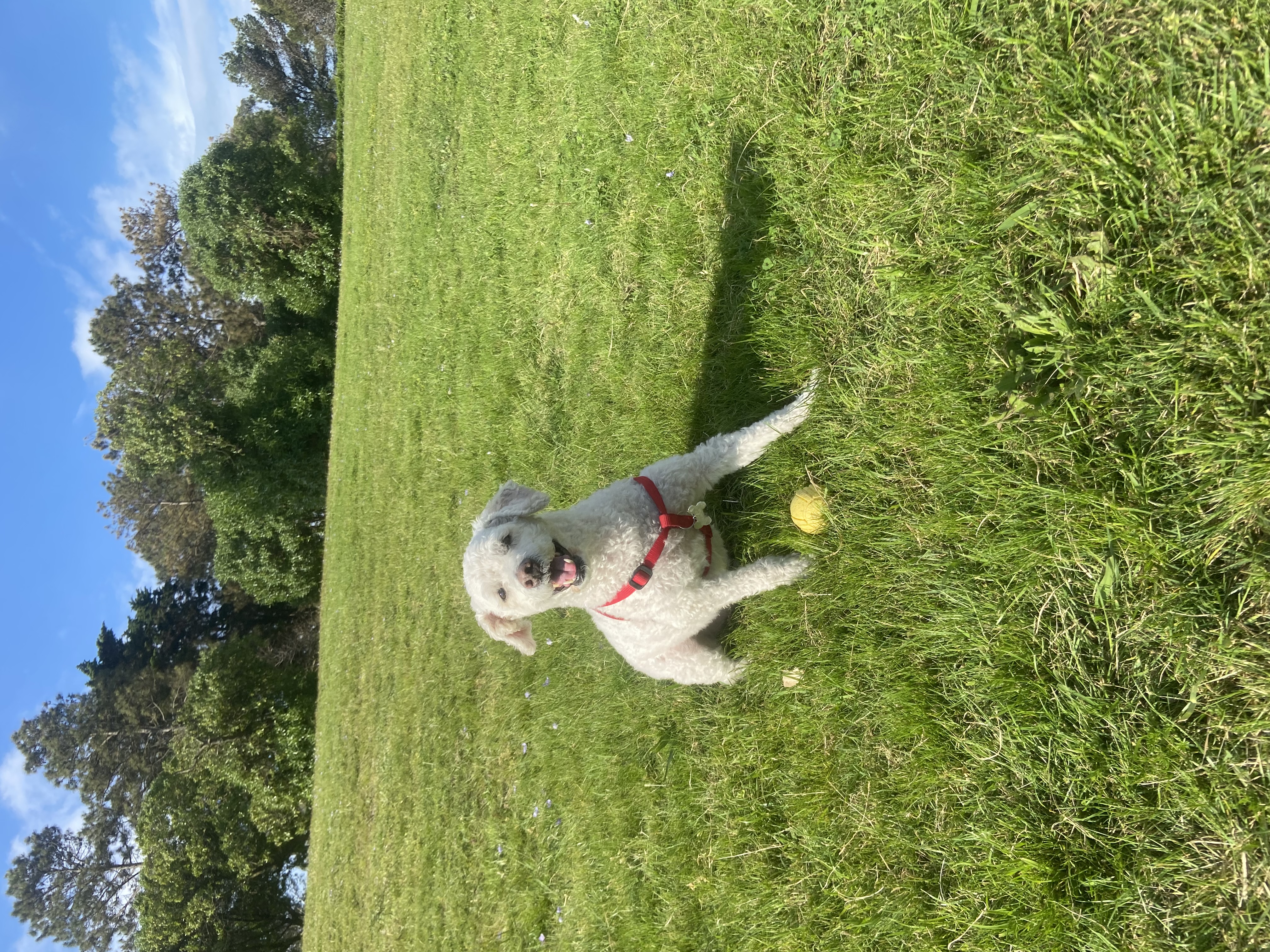image-11