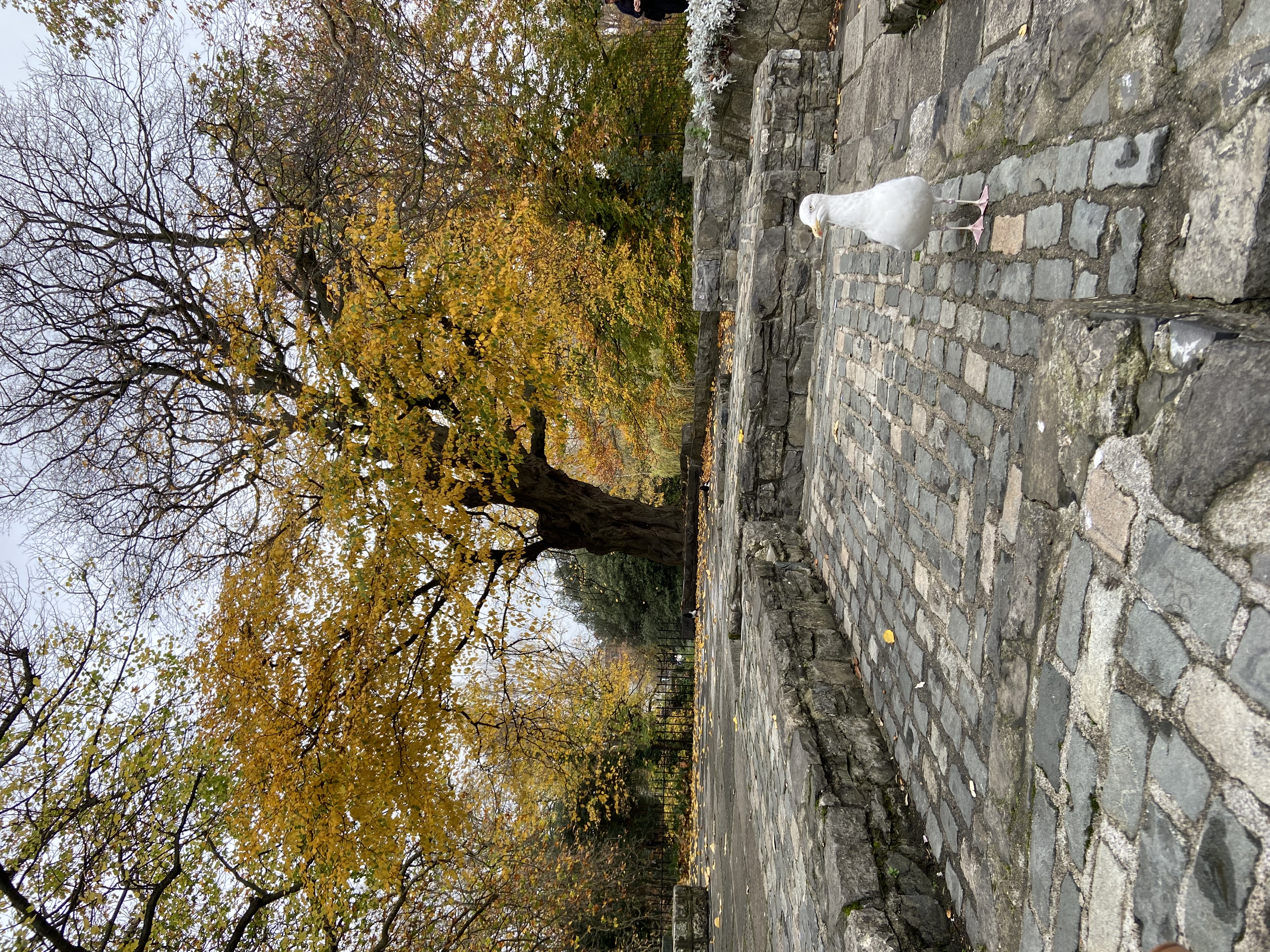 image-25