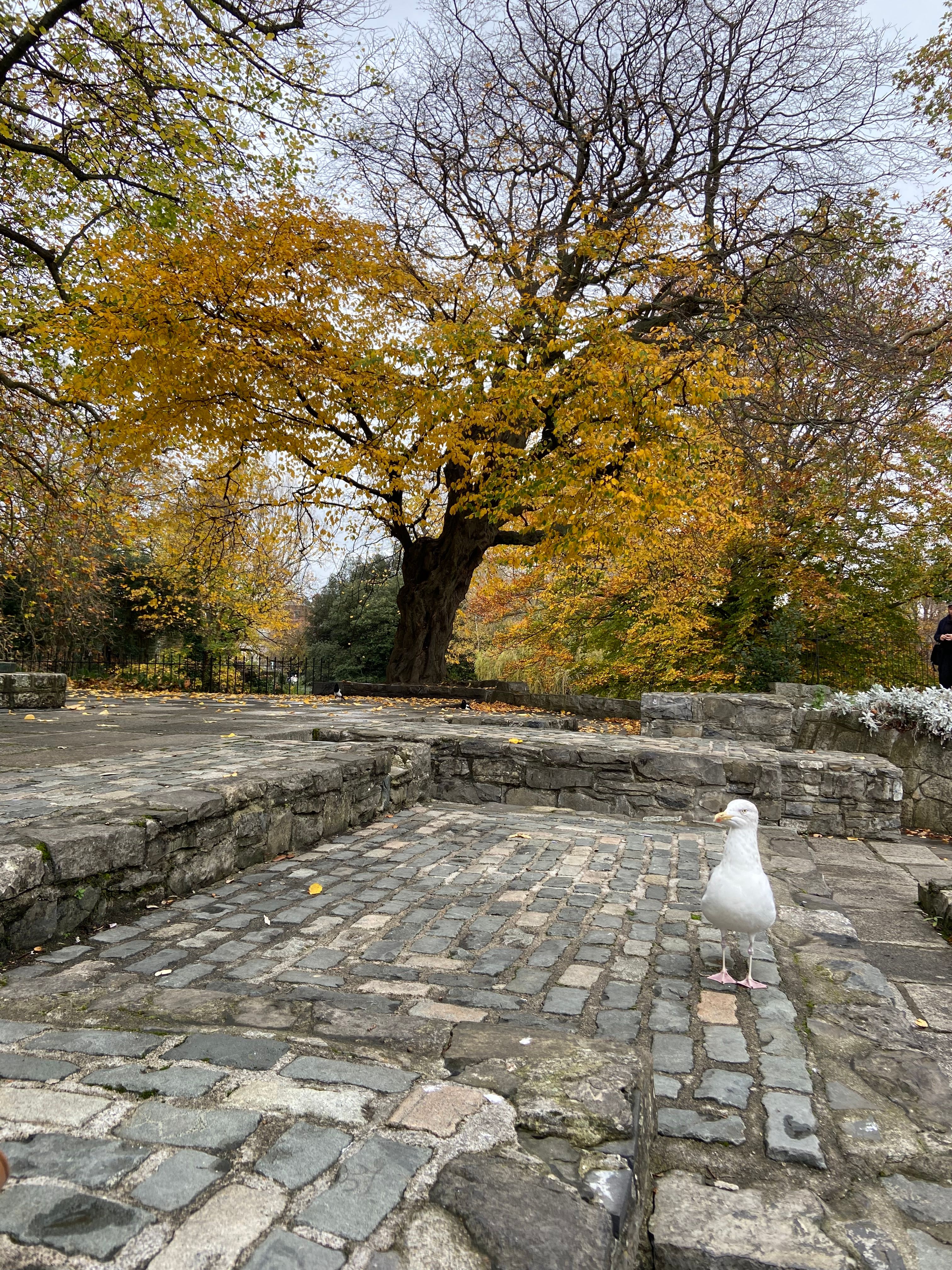 image-25