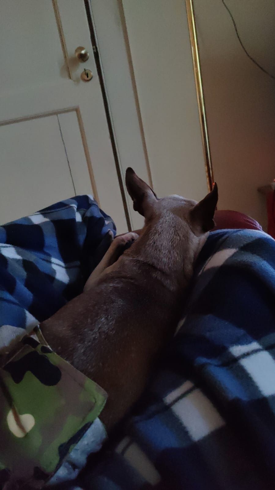 image-8