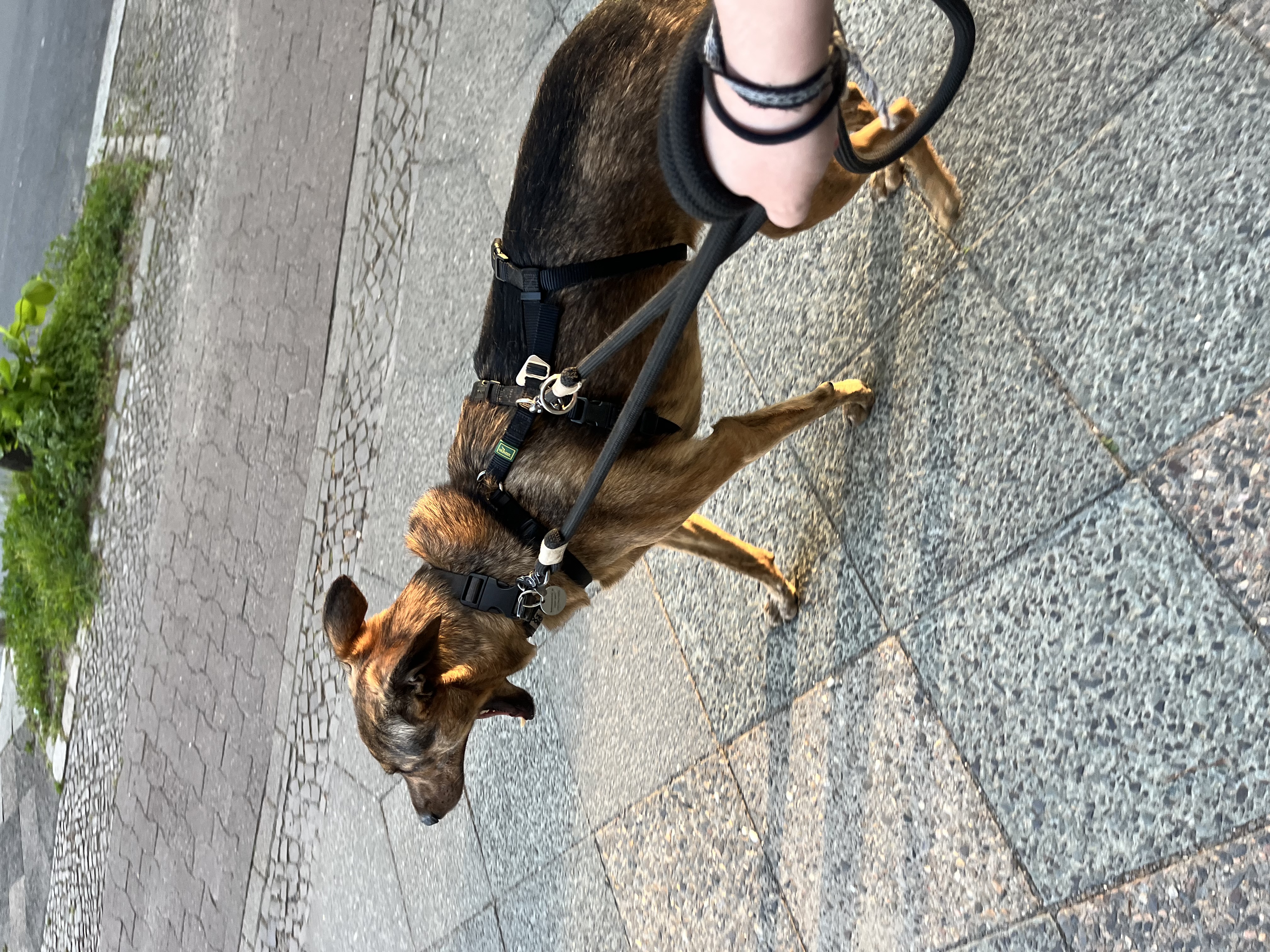 image-9