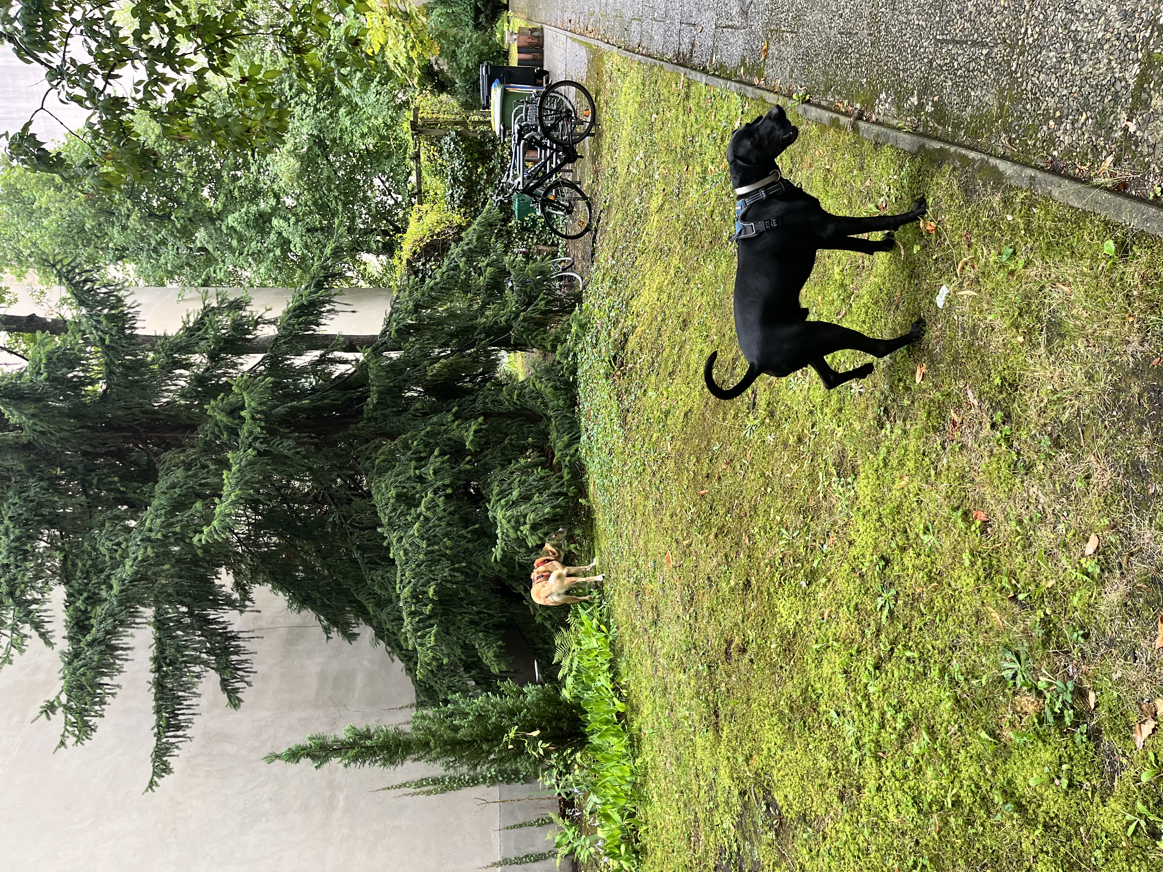 image-17